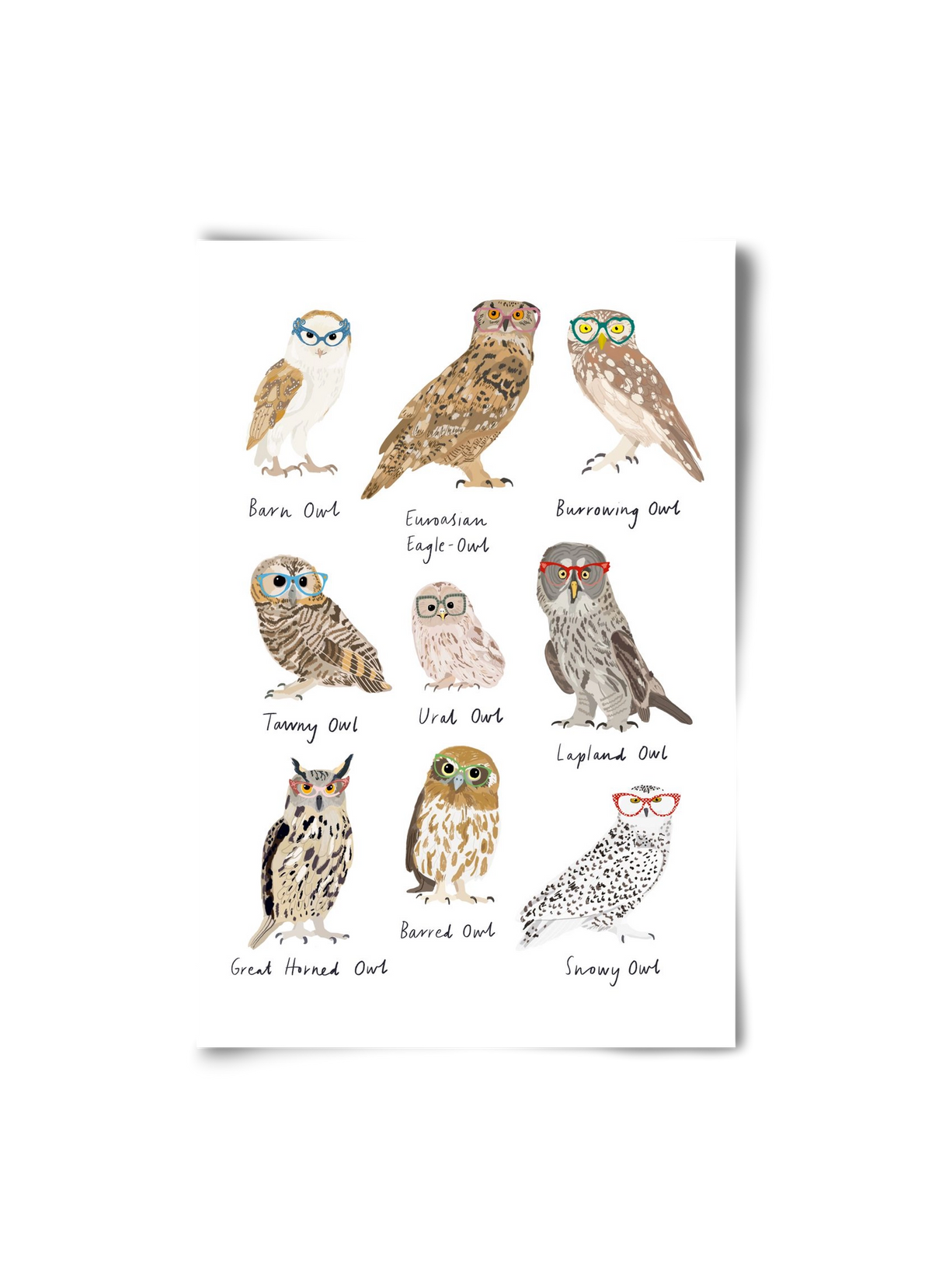 Owls in Glasses, 20x30 cm, Keret nélkül