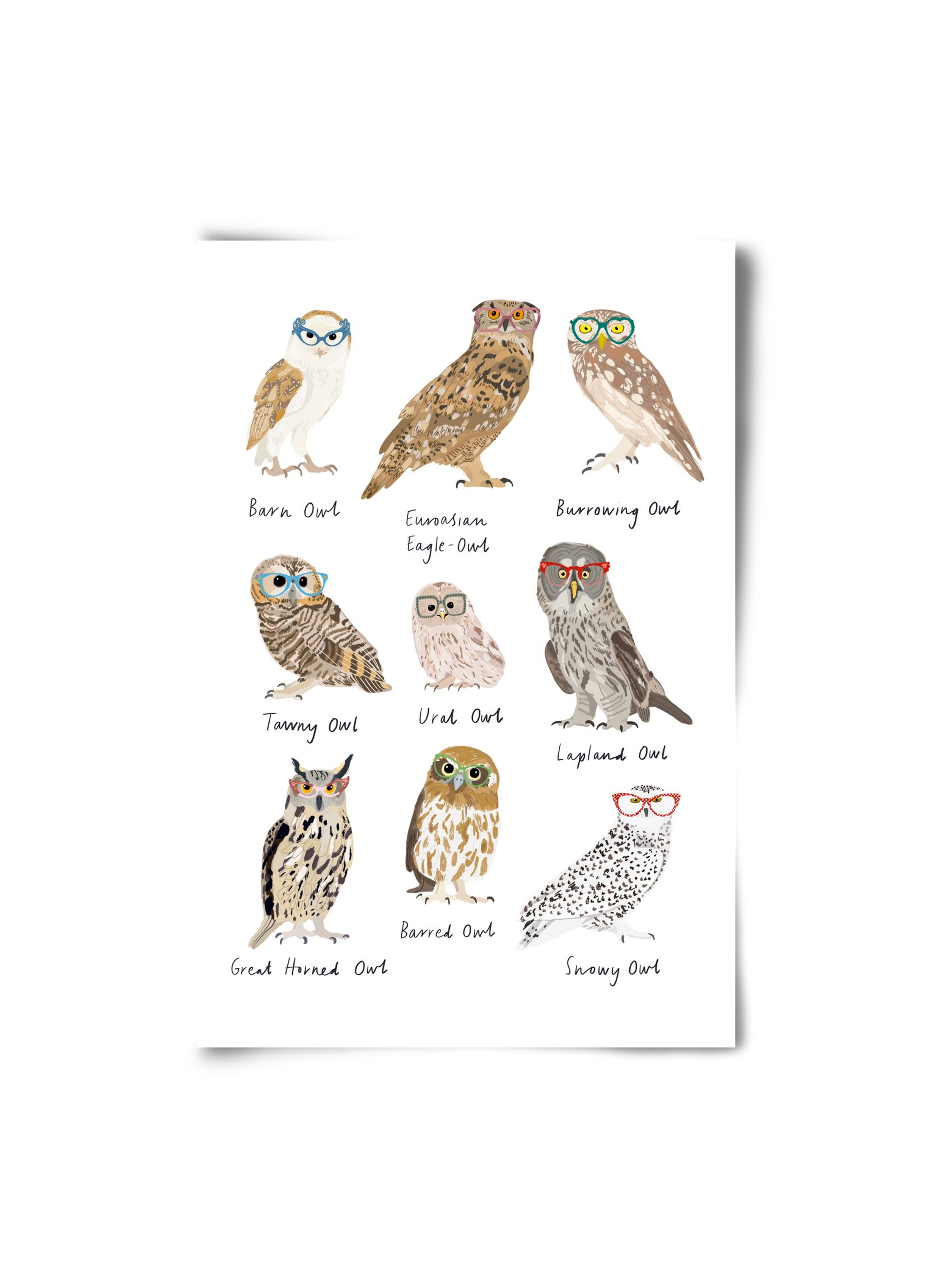 Owls in Glasses, 20x30 cm, Keret nélkül