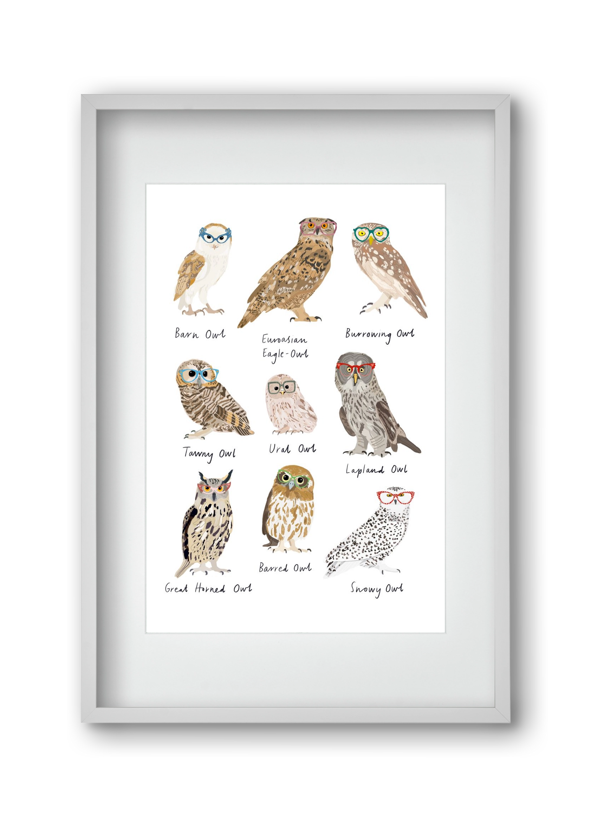 Owls in Glasses, 30x45 cm (20x30 cm), Fehér keret, paszpartuval