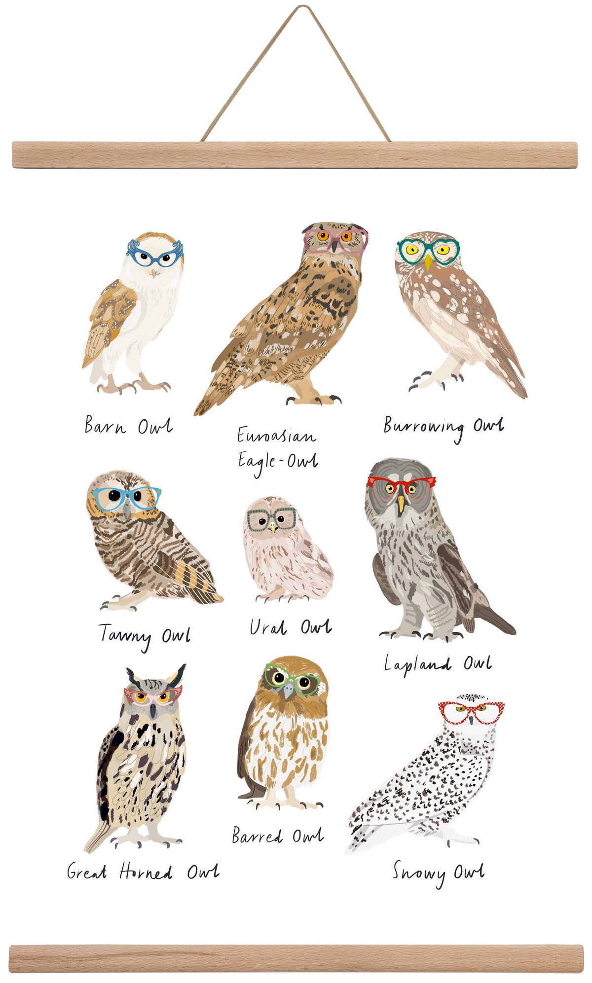 Owls in Glasses, 40x60 cm (40x60 cm), Tölgy akasztó