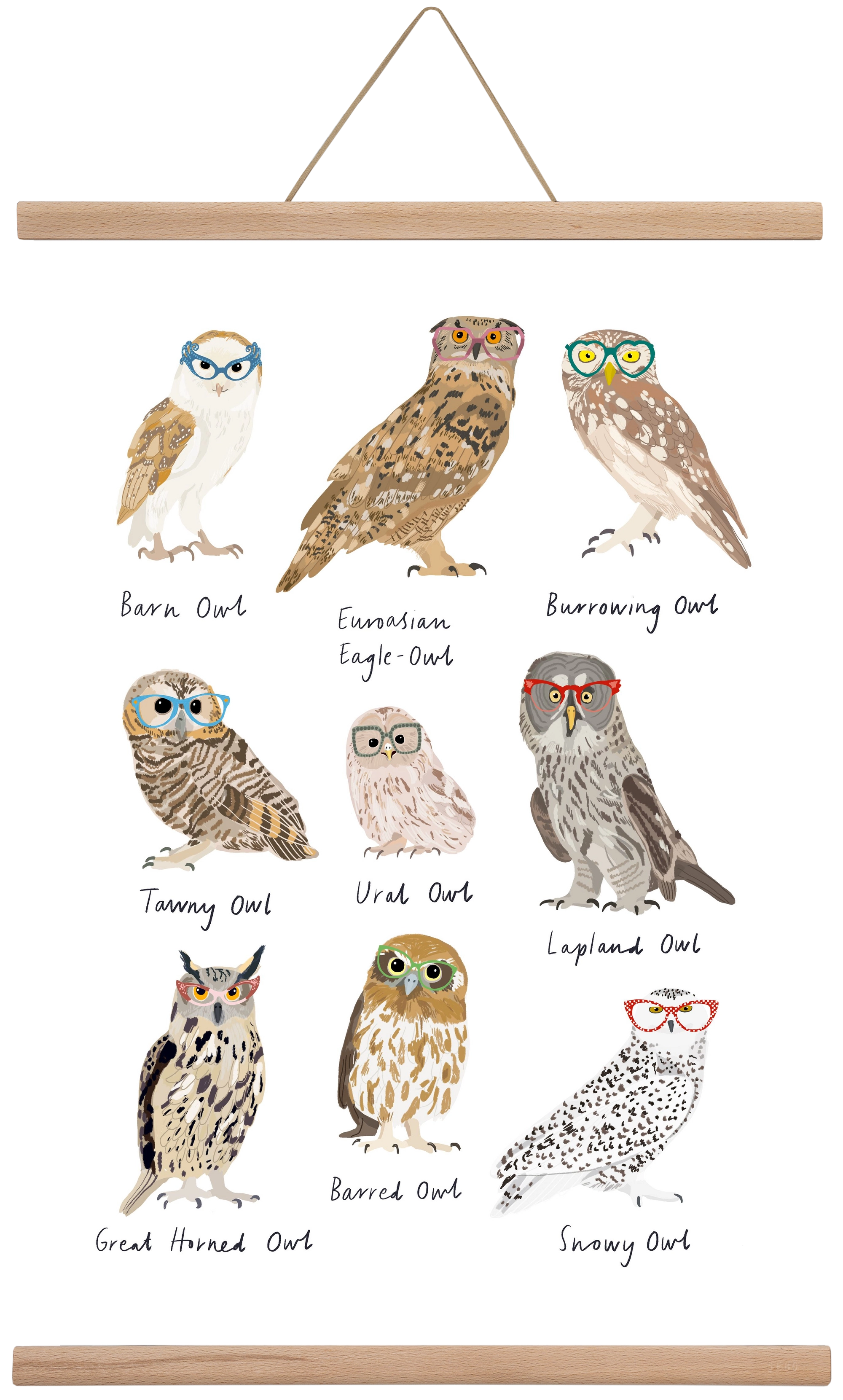 Owls in Glasses, 40x60 cm (40x60 cm), Tölgy akasztó