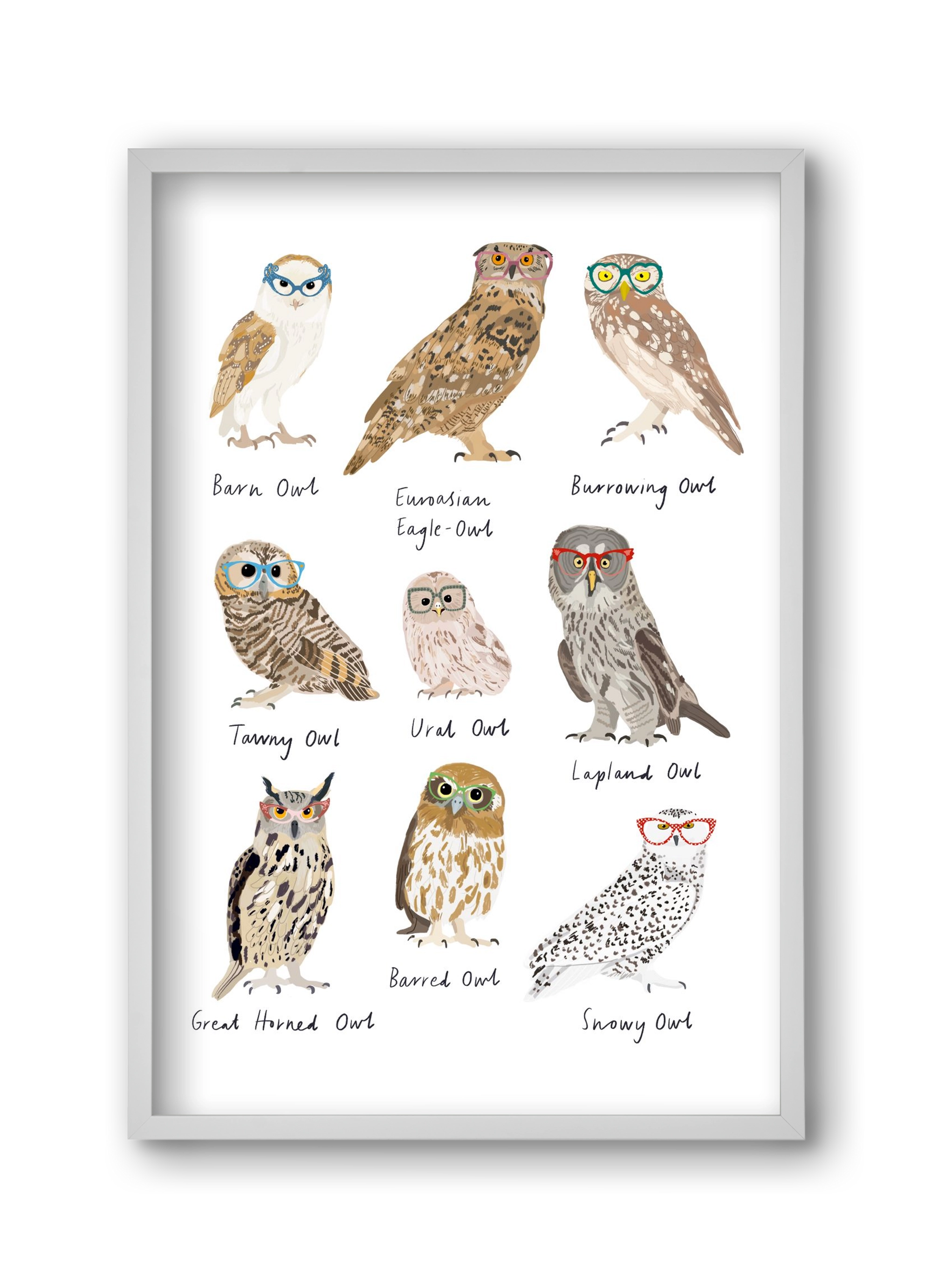 Owls in Glasses, 30x45 cm (30x45 cm), Fehér keret