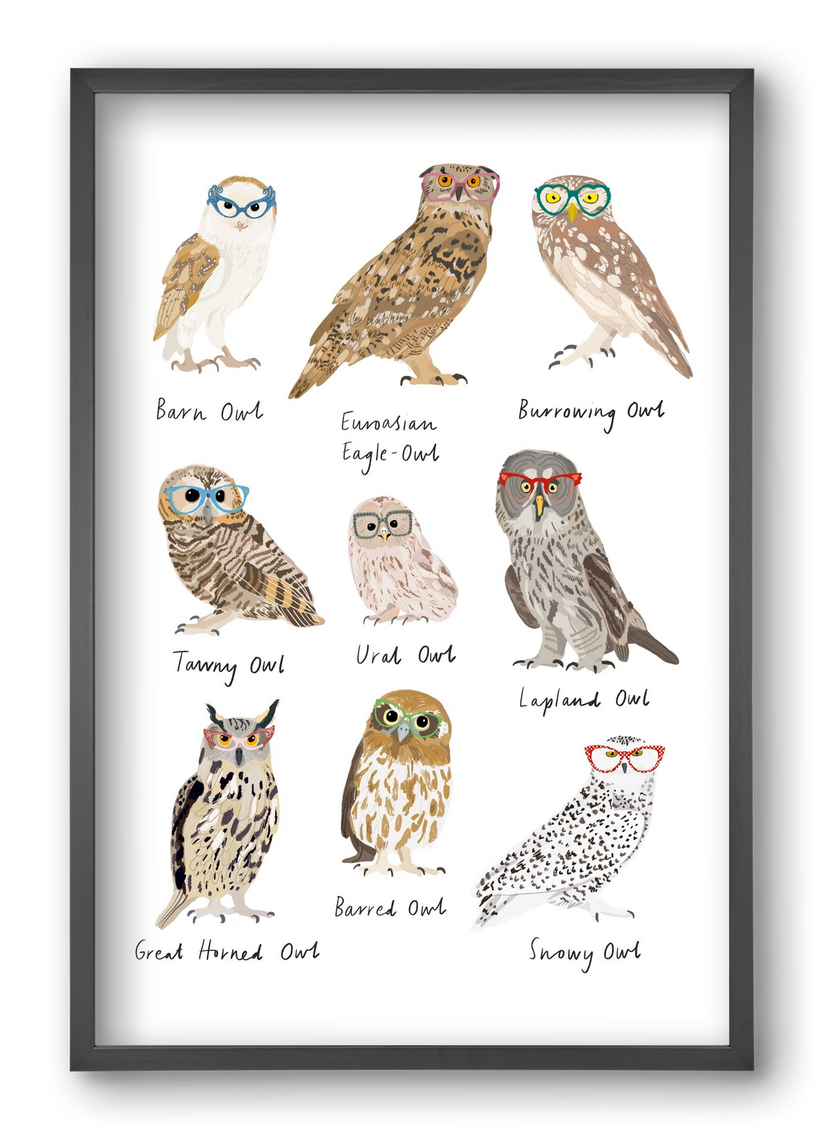 Owls in Glasses, 40x60 cm (40x60 cm), Fekete keret