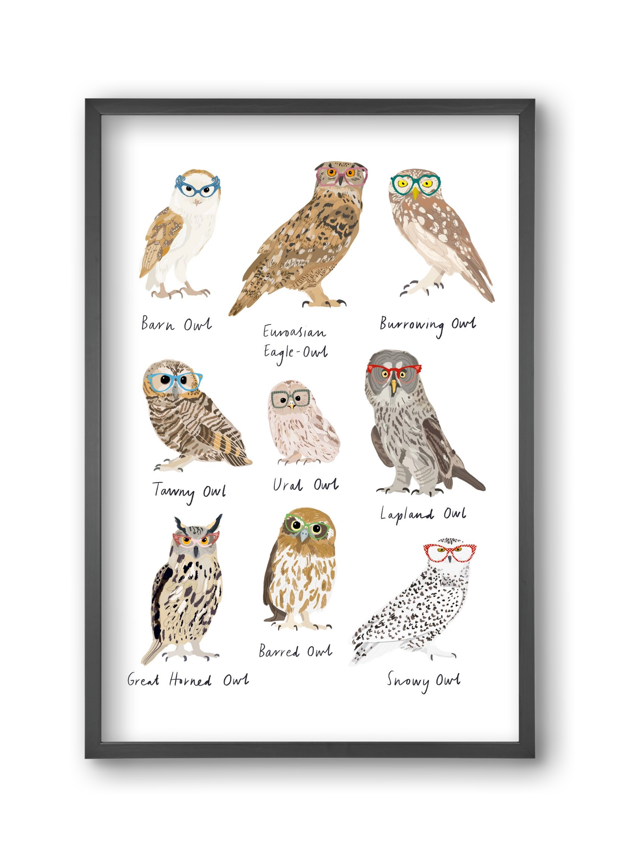 Owls in Glasses, 30x45 cm (30x45 cm), Fekete keret