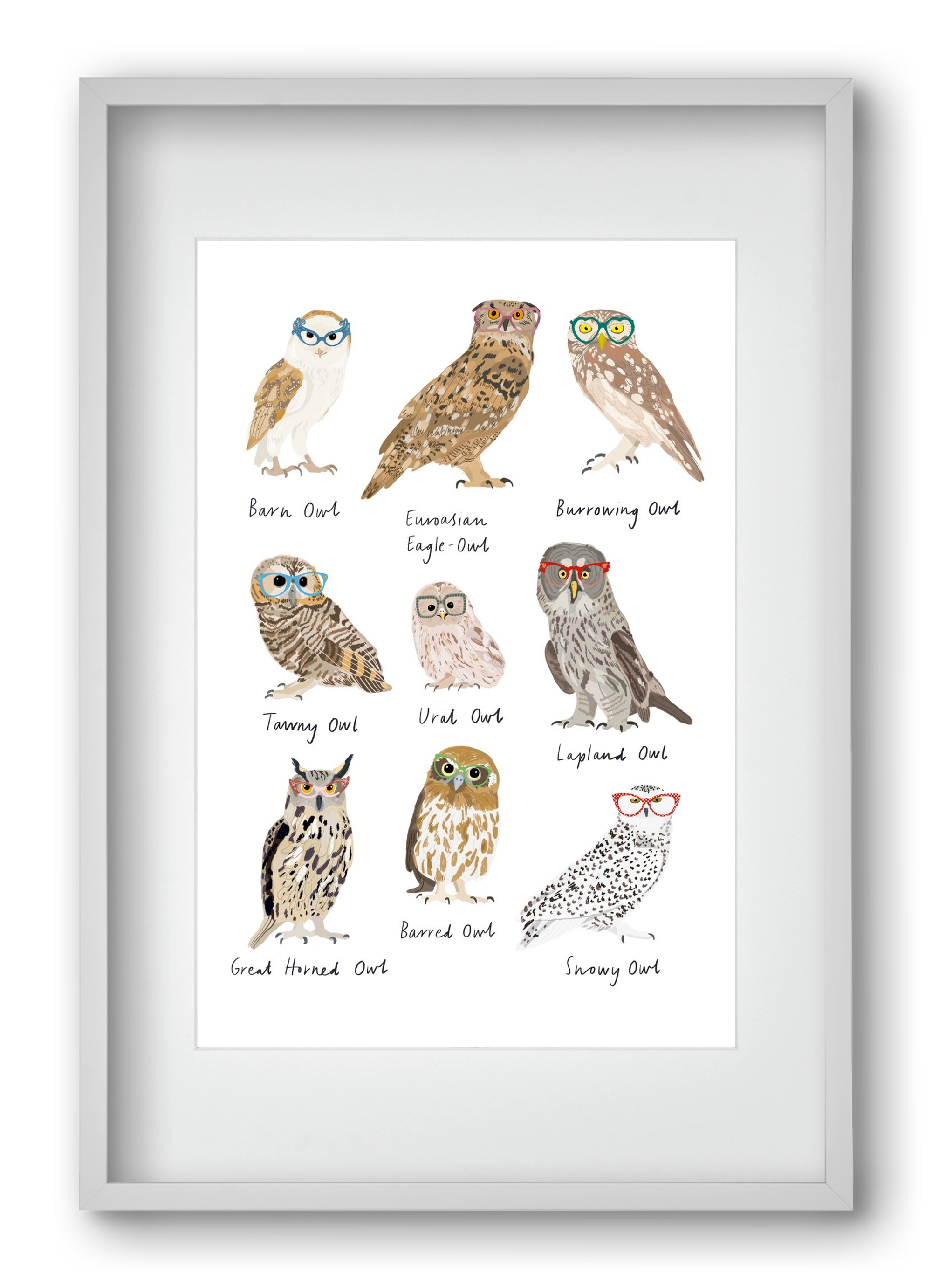 Owls in Glasses, 40x60 cm (30x45 cm), Fehér keret, paszpartuval