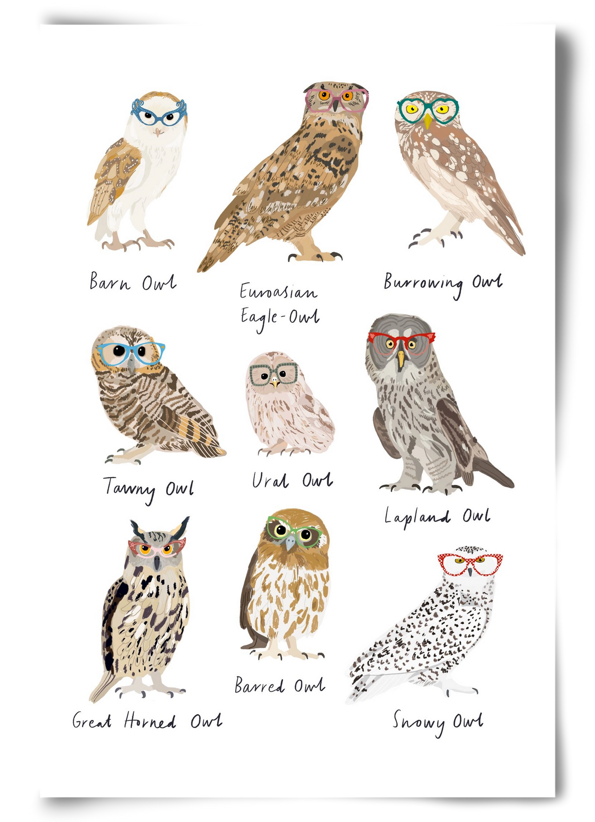 Owls in Glasses, 60x90 cm, Keret nélkül