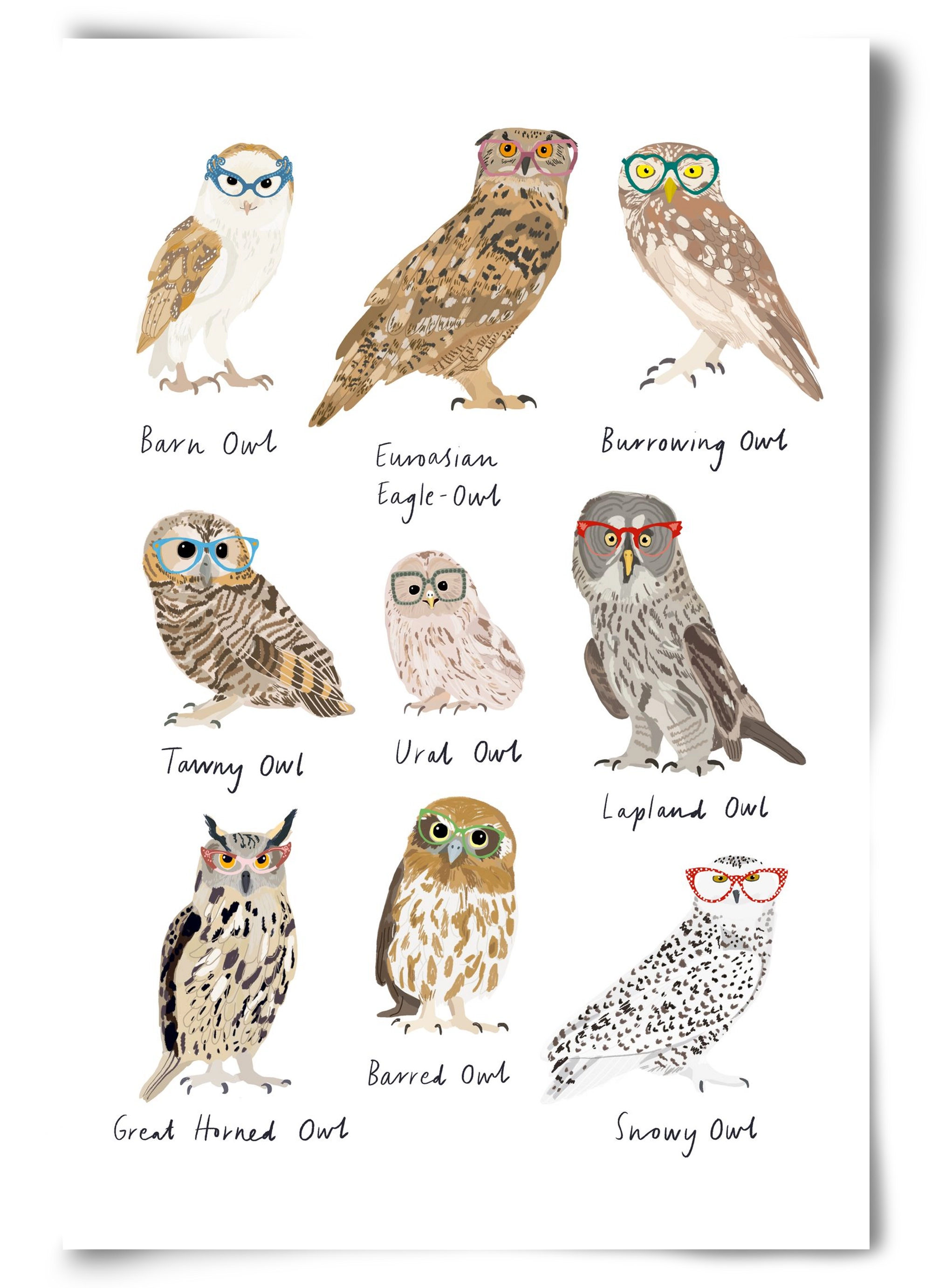 Owls in Glasses, 60x90 cm, Keret nélkül