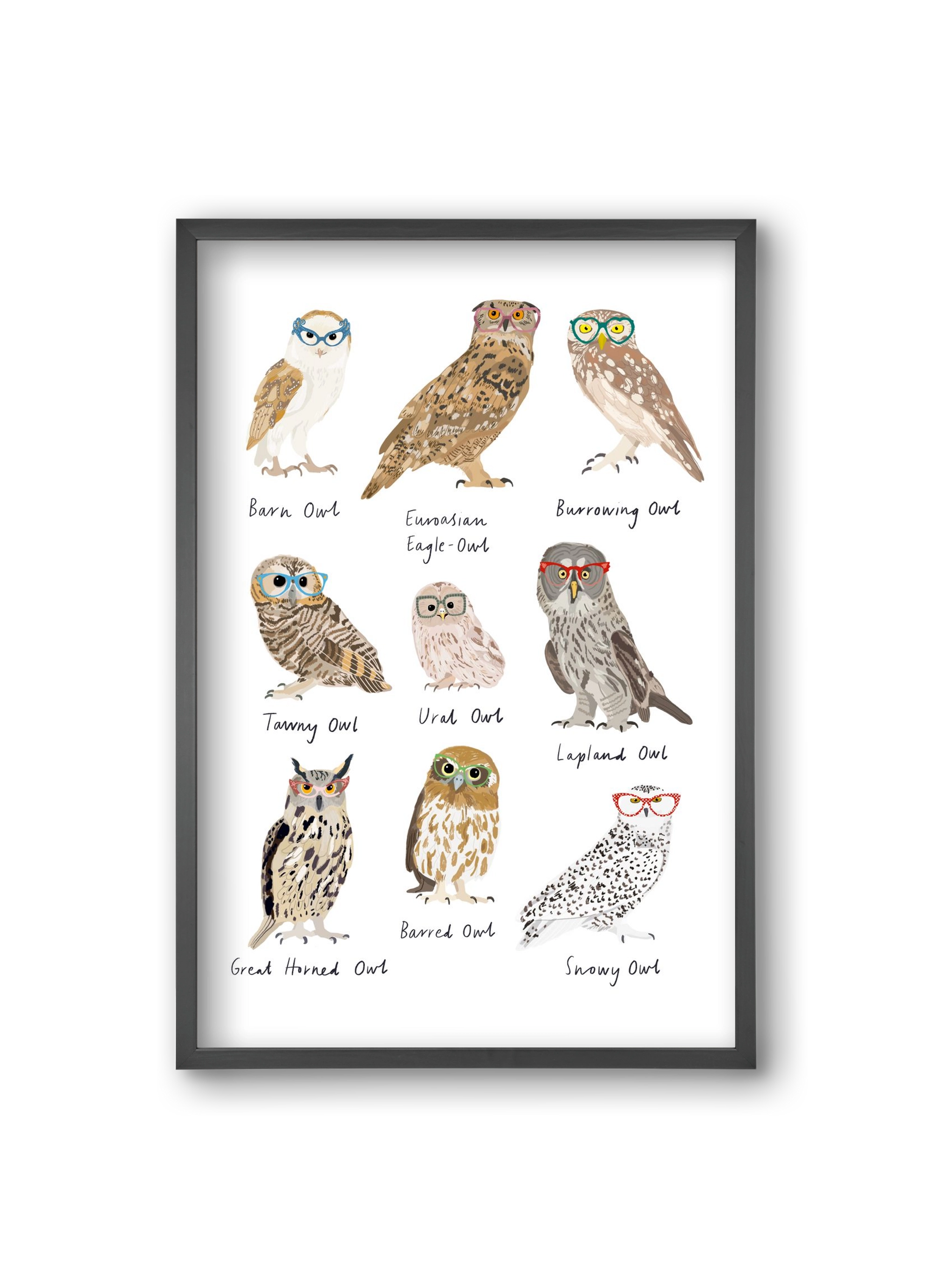 Owls in Glasses, 20x30 cm (20x30 cm), Fekete keret