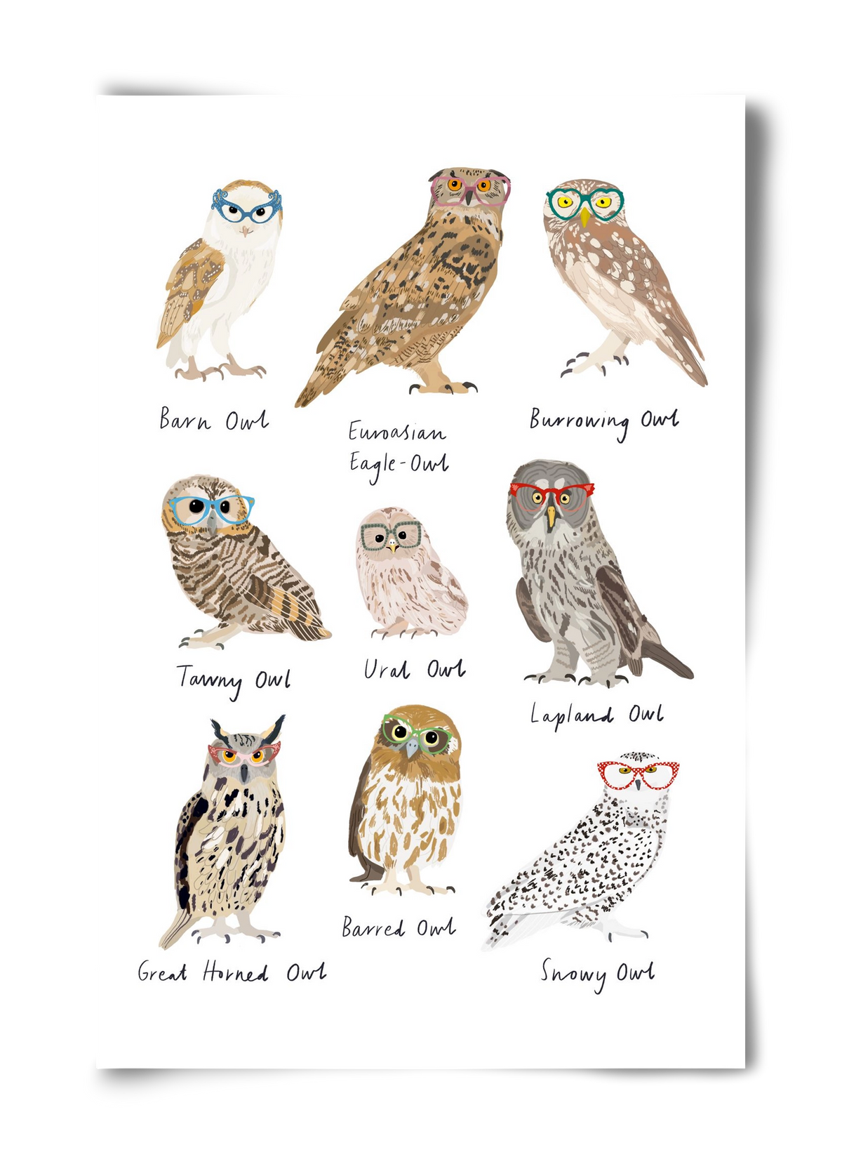 Owls in Glasses, 40x60 cm, Keret nélkül