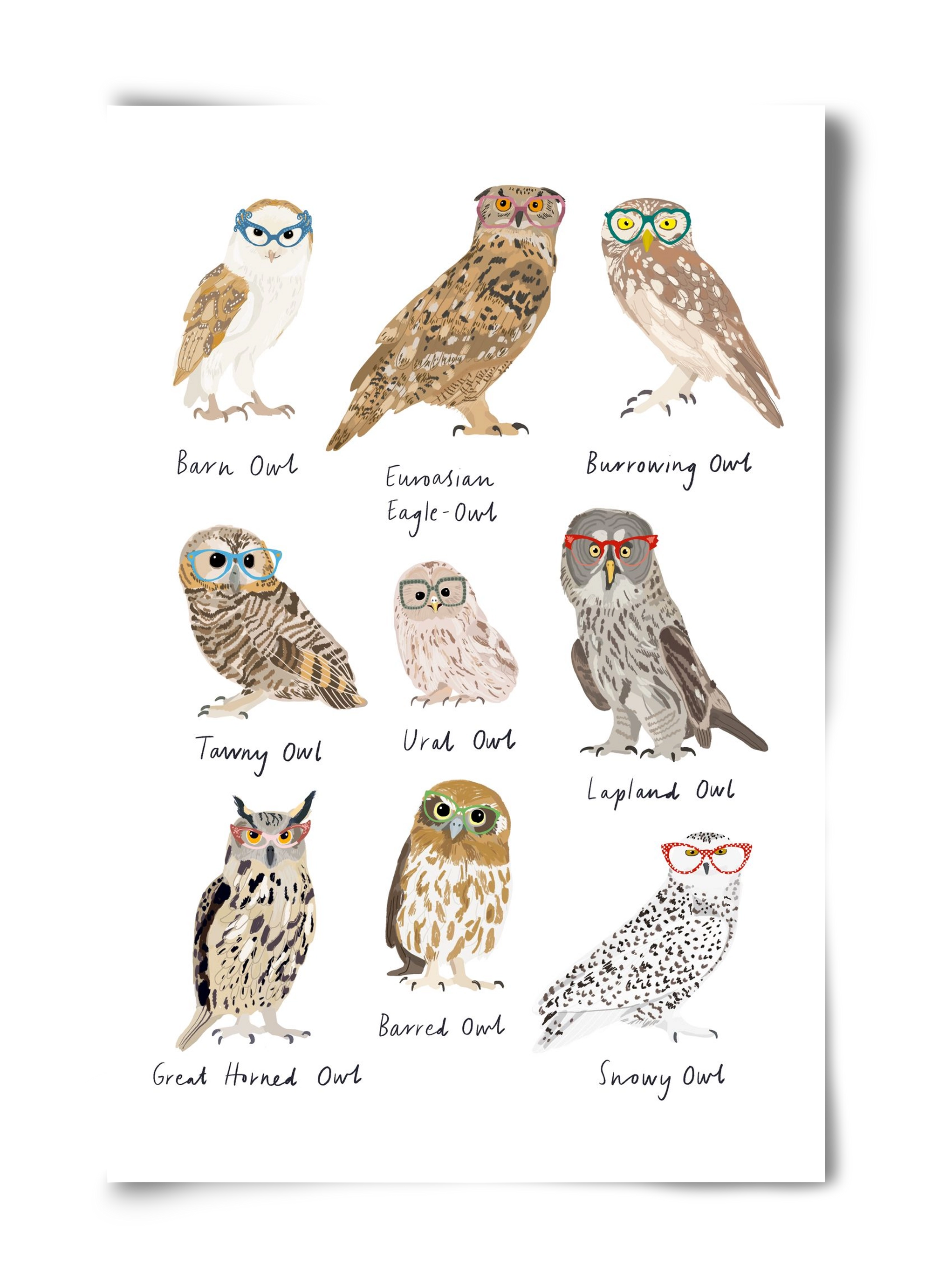 Owls in Glasses, 40x60 cm, Keret nélkül