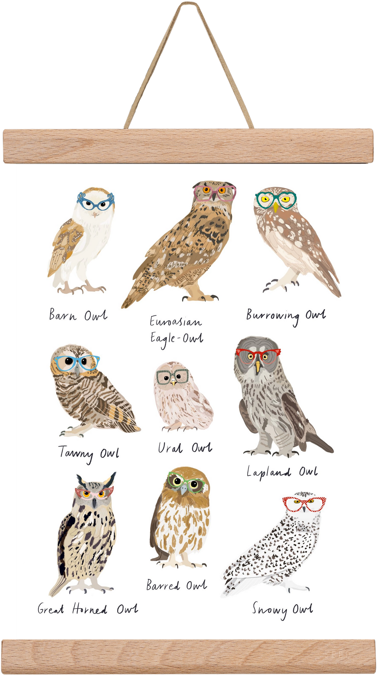 Owls in Glasses, 20x30 cm (20x30 cm), Tölgy akasztó