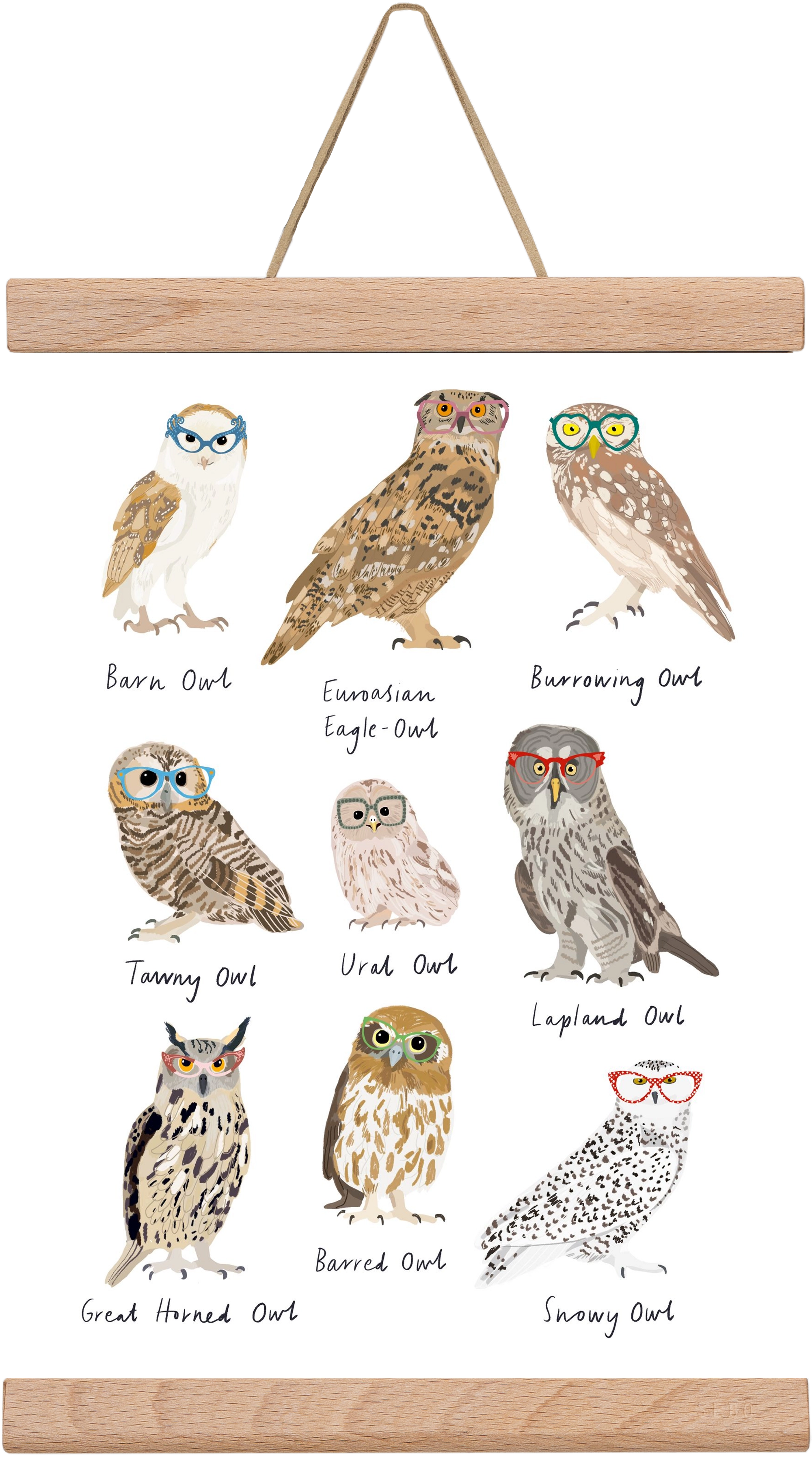 Owls in Glasses, 20x30 cm (20x30 cm), Tölgy akasztó