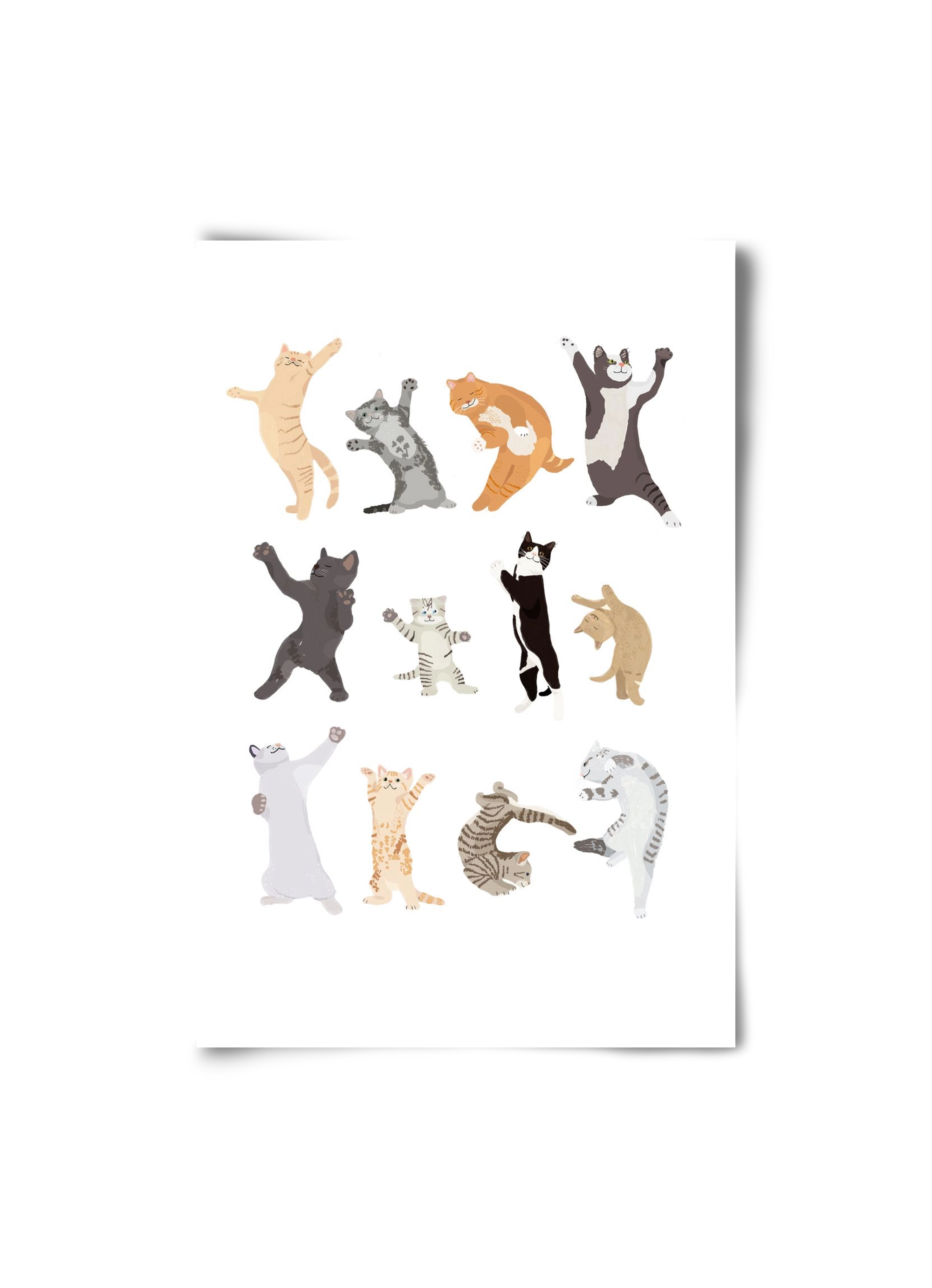 Dancing Cats, 20x30 cm, Keret nélkül