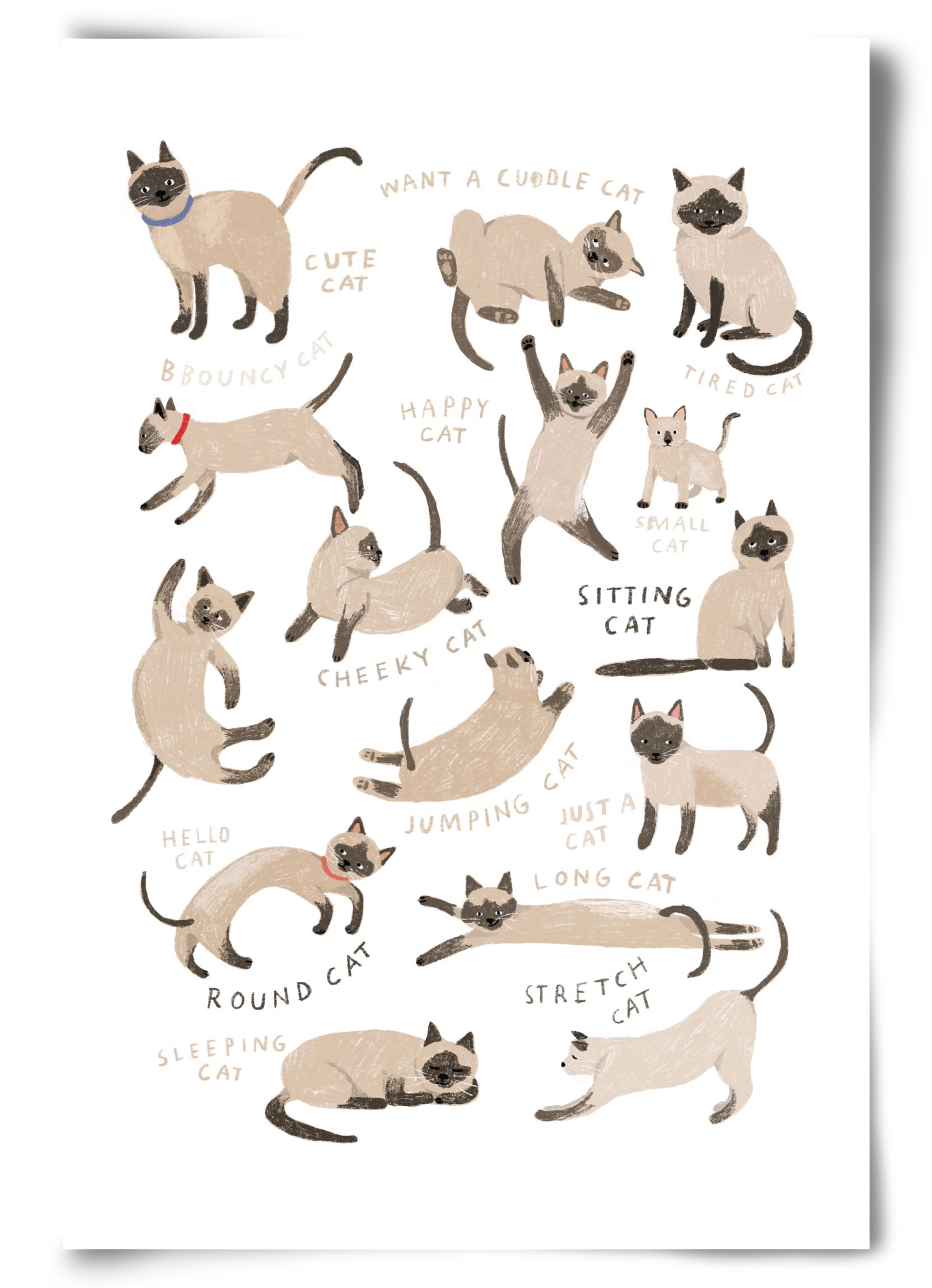 Siamese Cats, 60x90 cm, Keret nélkül
