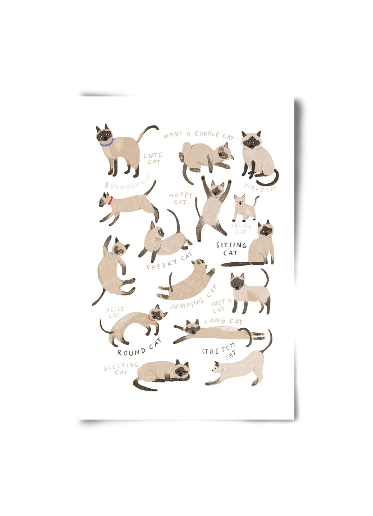 Siamese Cats, 20x30 cm, Keret nélkül