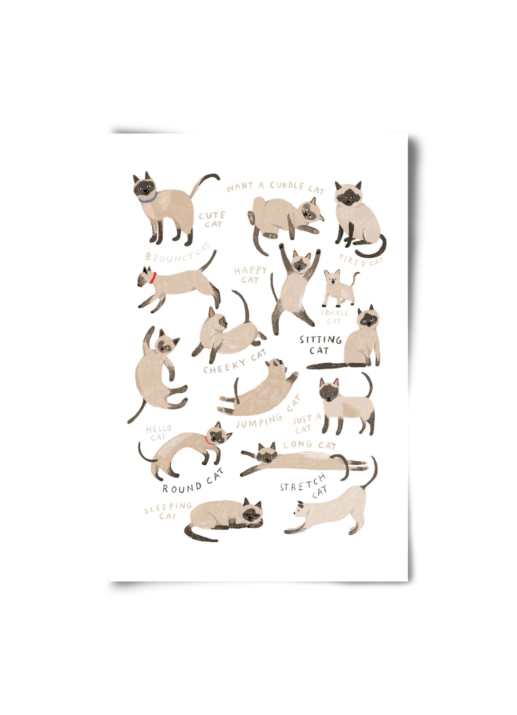 Siamese Cats, 20x30 cm, Keret nélkül