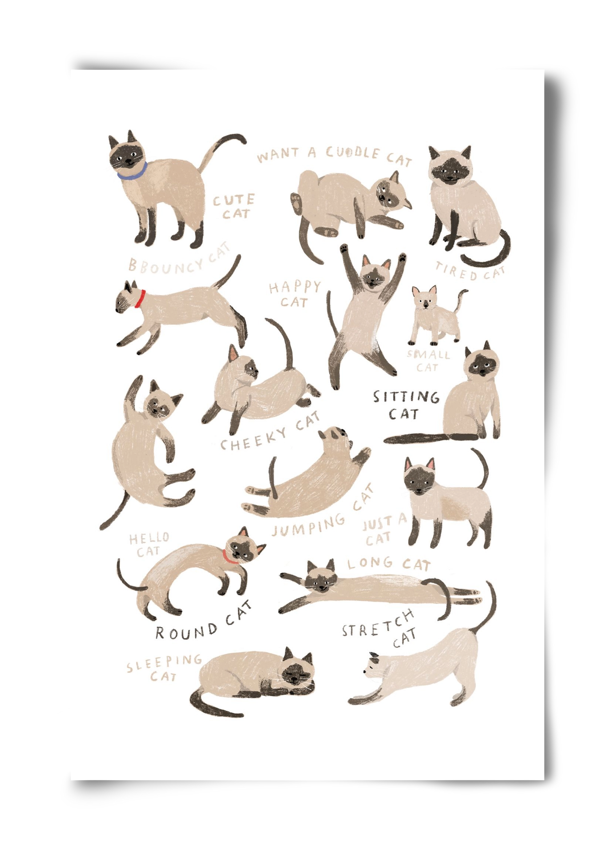 Siamese Cats, 40x60 cm, Keret nélkül