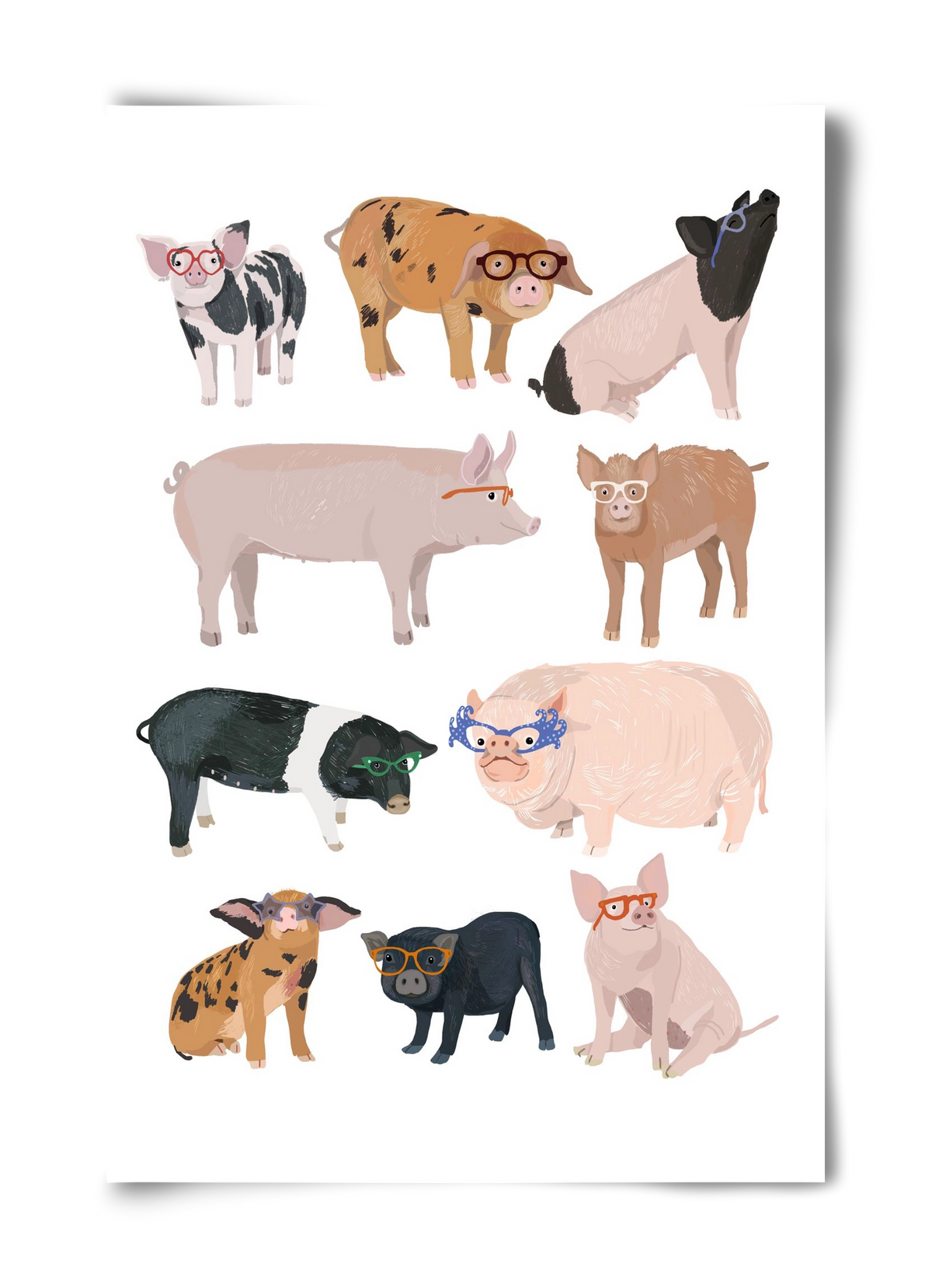 Pigs in Glasses, 40x60 cm, Keret nélkül