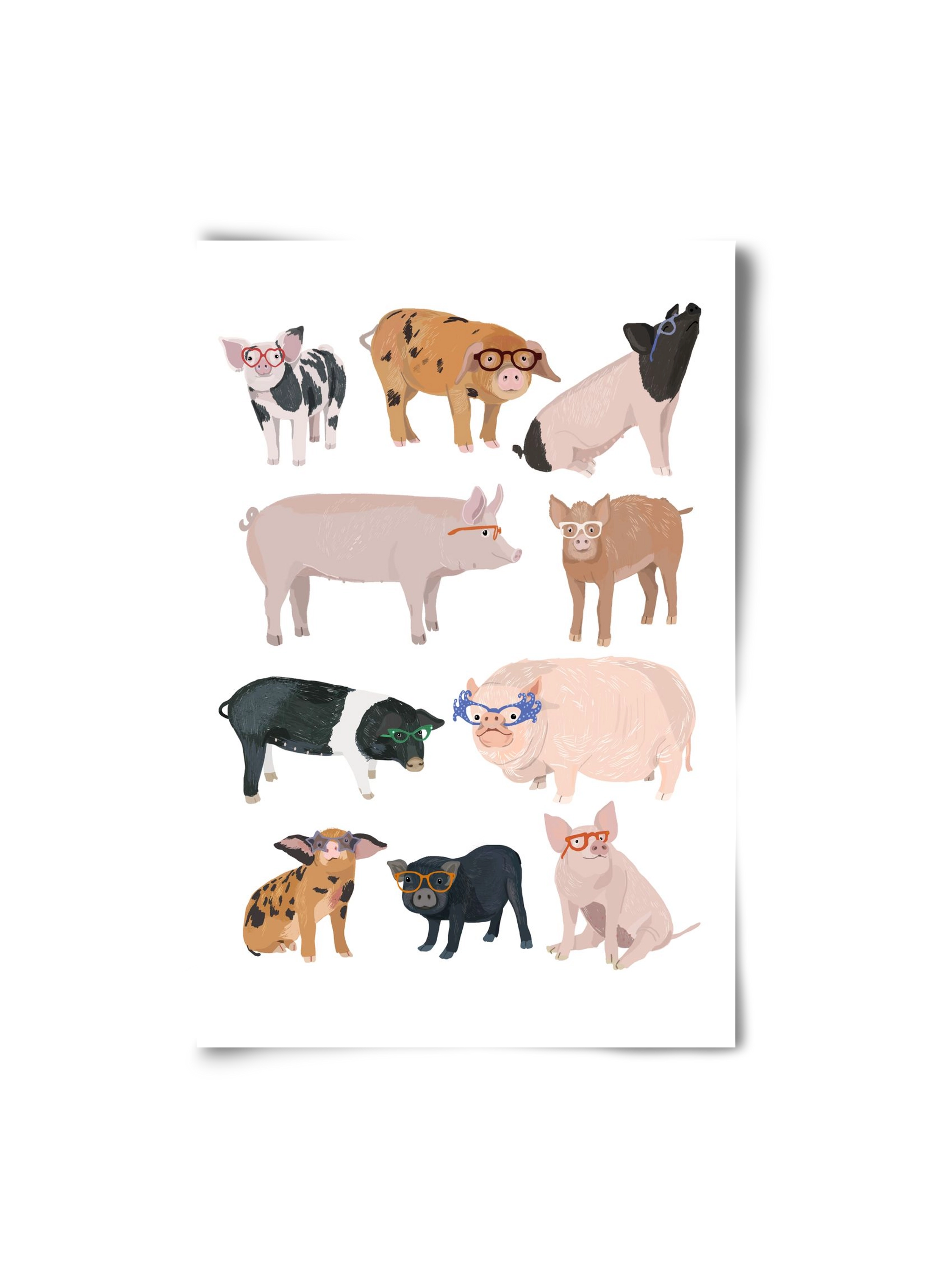 Pigs in Glasses, 20x30 cm, Keret nélkül