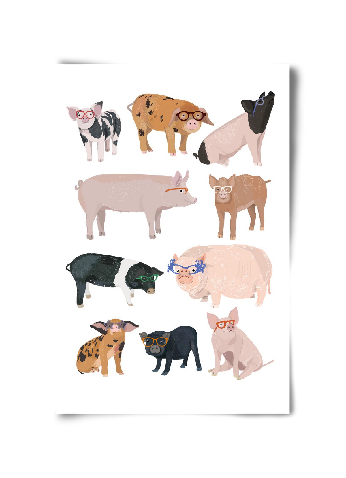 Pigs in Glasses, 30x45 cm, Keret nélkül