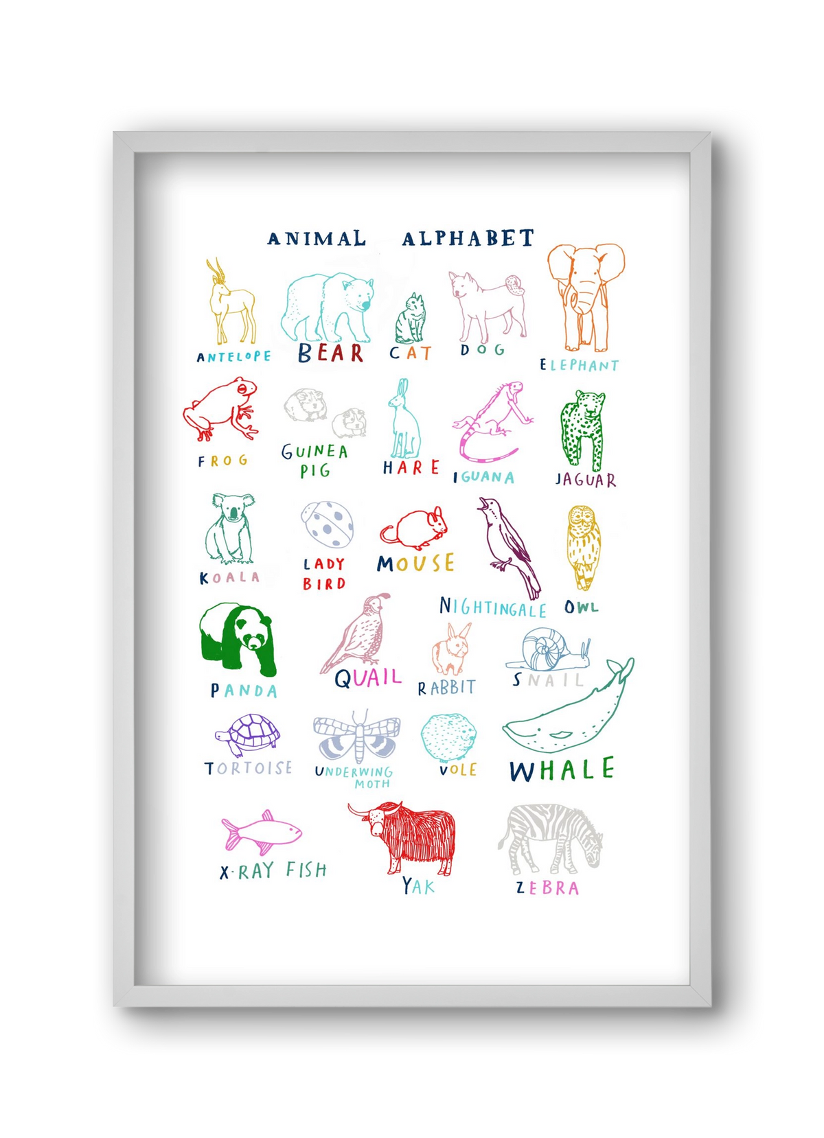 Animal Alphabeth, 30x45 cm (30x45 cm), Fehér keret