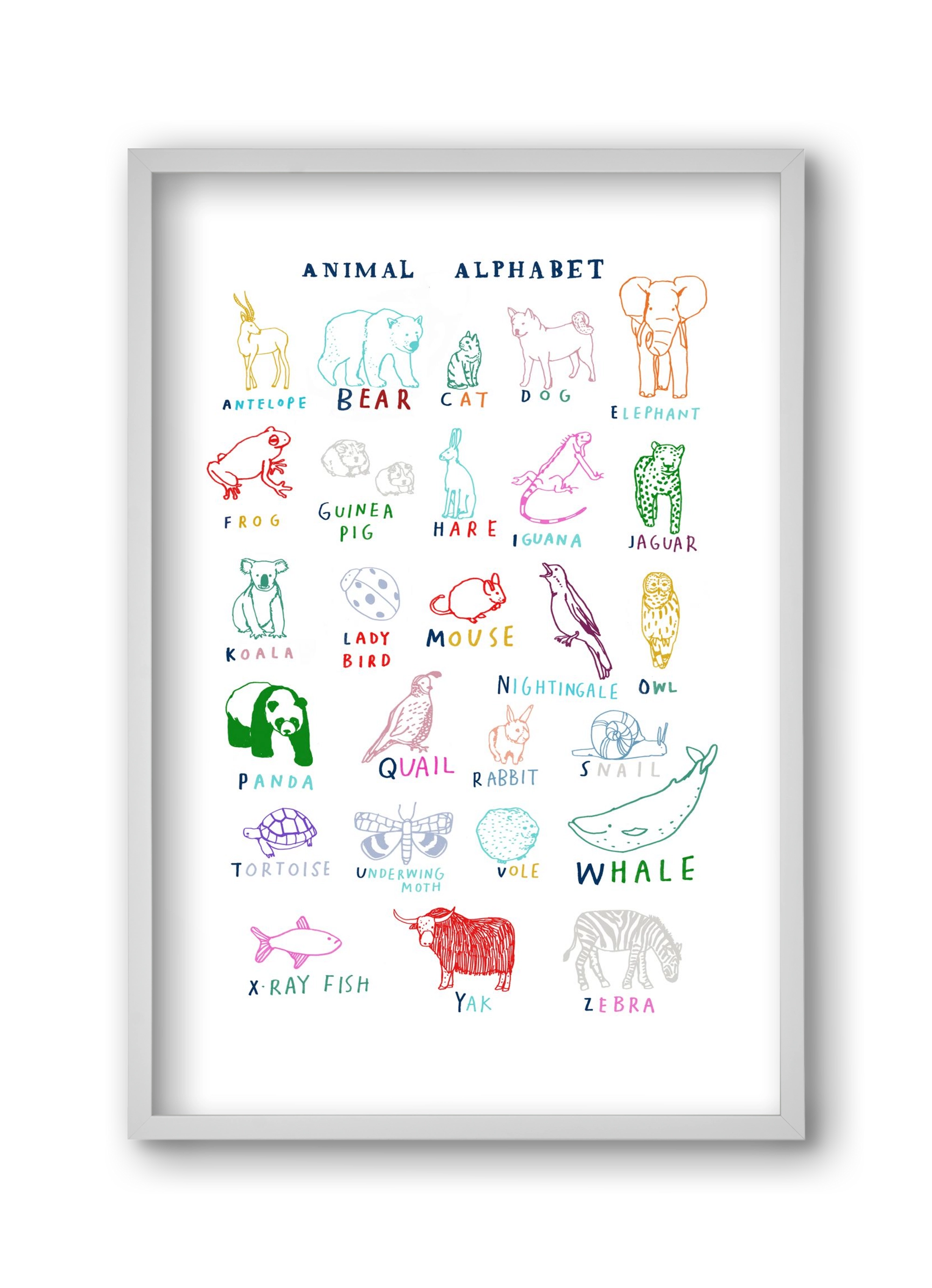 Animal Alphabeth, 30x45 cm (30x45 cm), Fehér keret