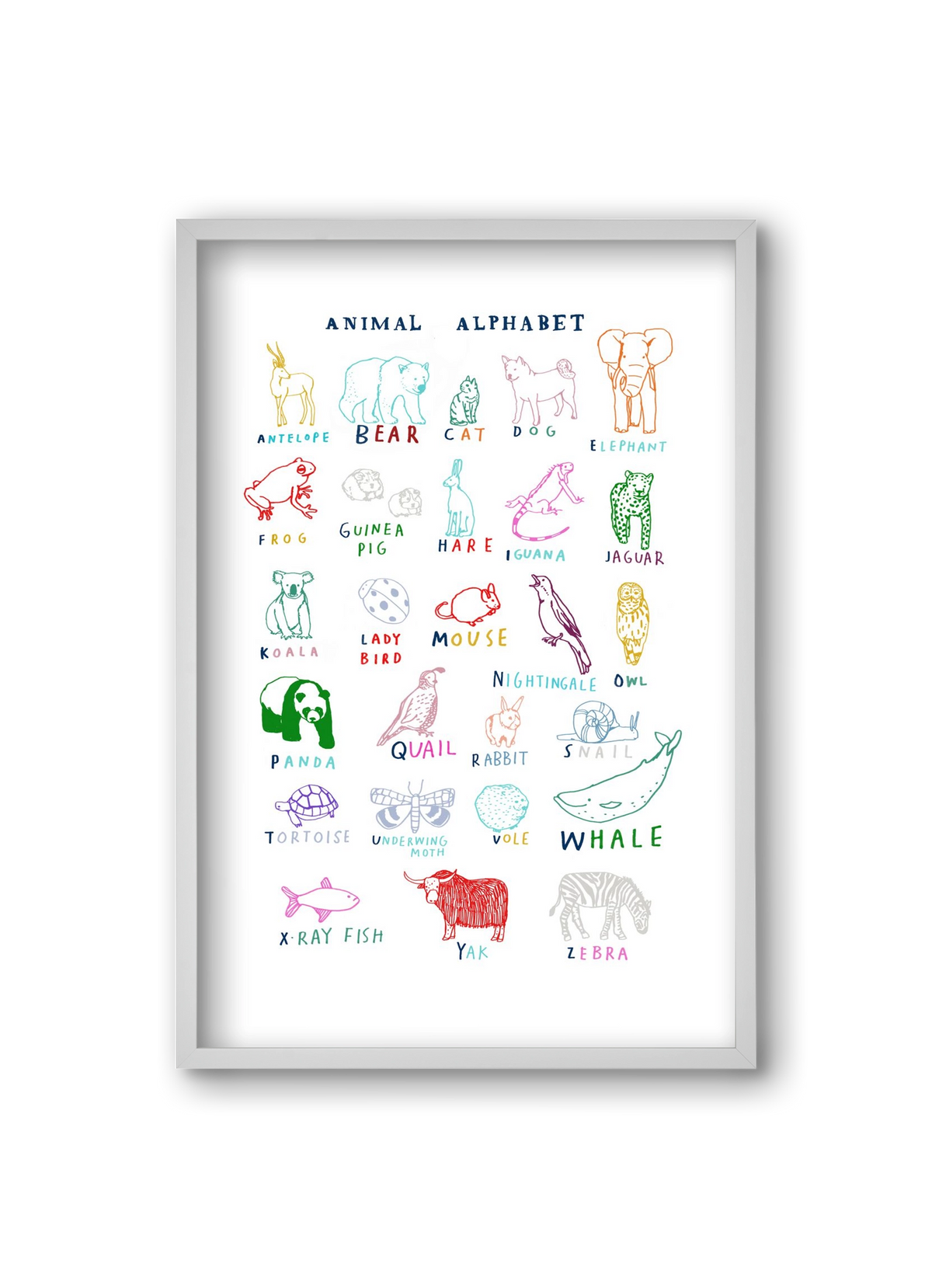 Animal Alphabeth, 20x30 cm (20x30 cm), Fehér keret