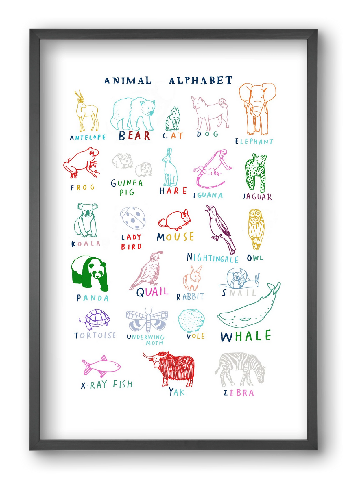 Animal Alphabeth, 40x60 cm (40x60 cm), Fekete keret