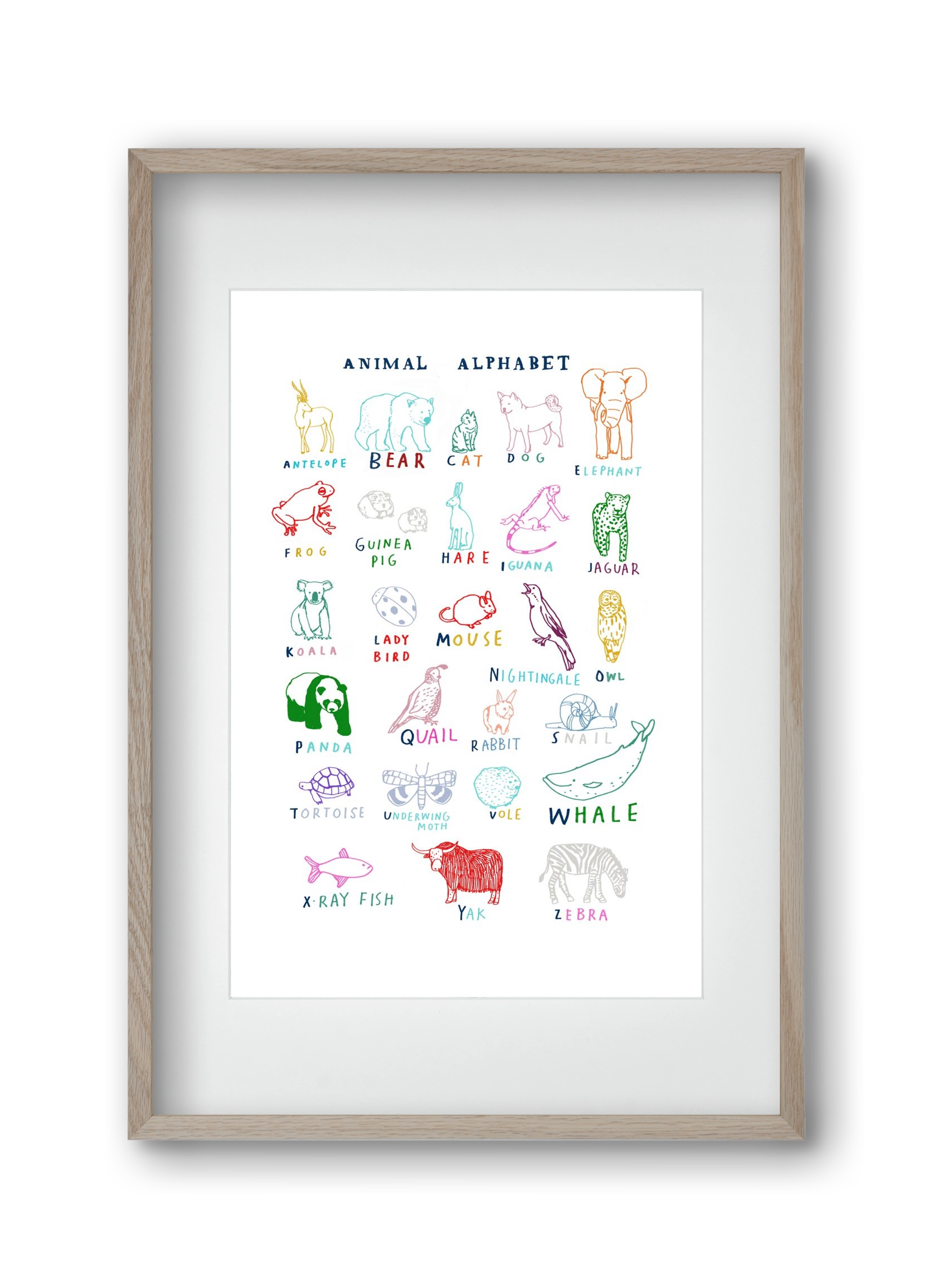 Animal Alphabeth, 30x45 cm (20x30 cm), Tölgy keret, paszpartuval