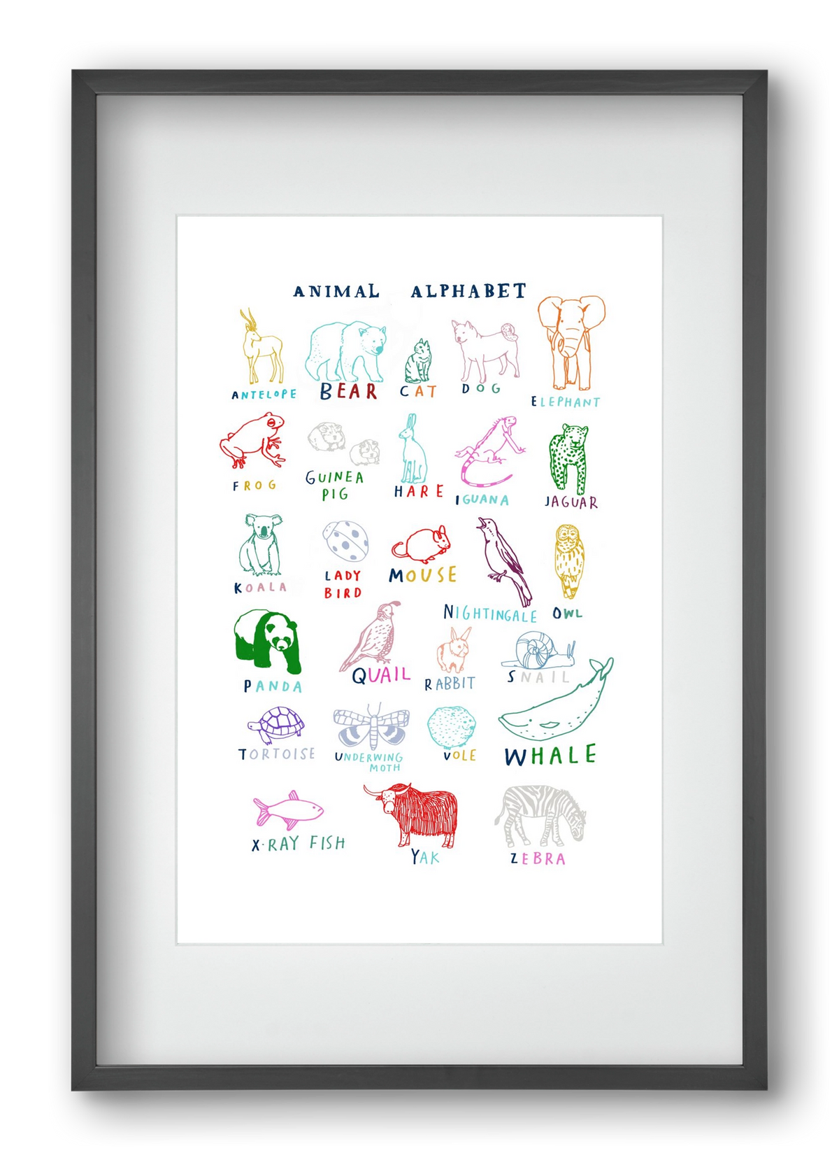 Animal Alphabeth, 40x60 cm (30x45 cm), Fekete keret, paszpartuval