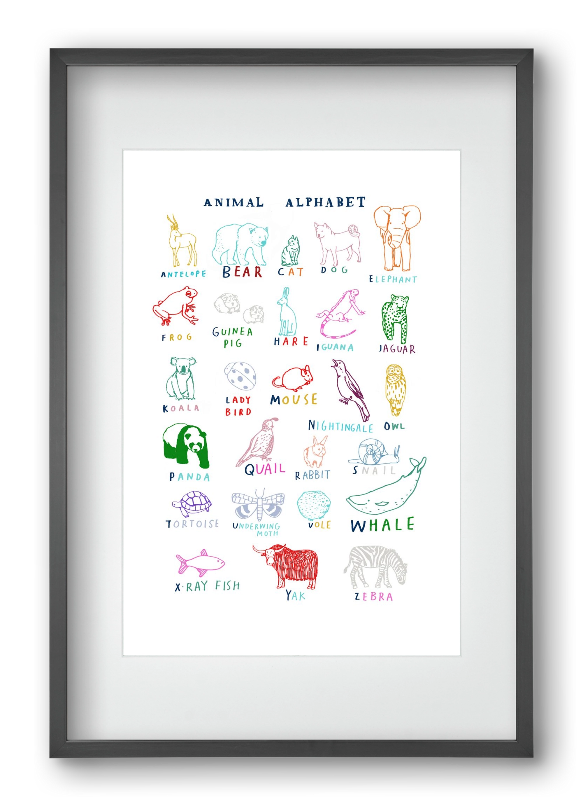 Animal Alphabeth, 40x60 cm (30x45 cm), Fekete keret, paszpartuval
