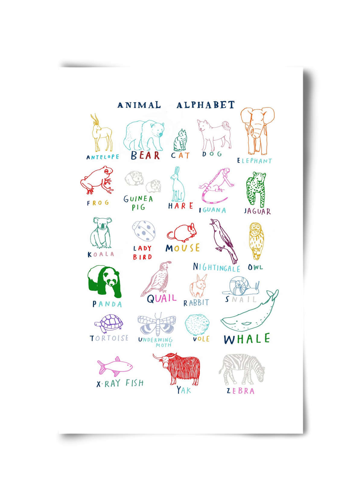 Animal Alphabeth, 30x45 cm, Keret nélkül