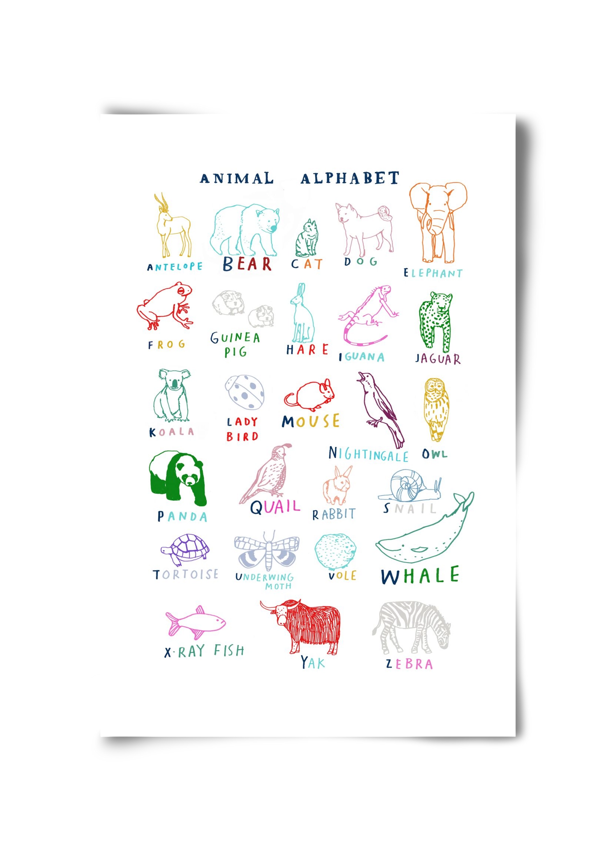 Animal Alphabeth, 30x45 cm, Keret nélkül