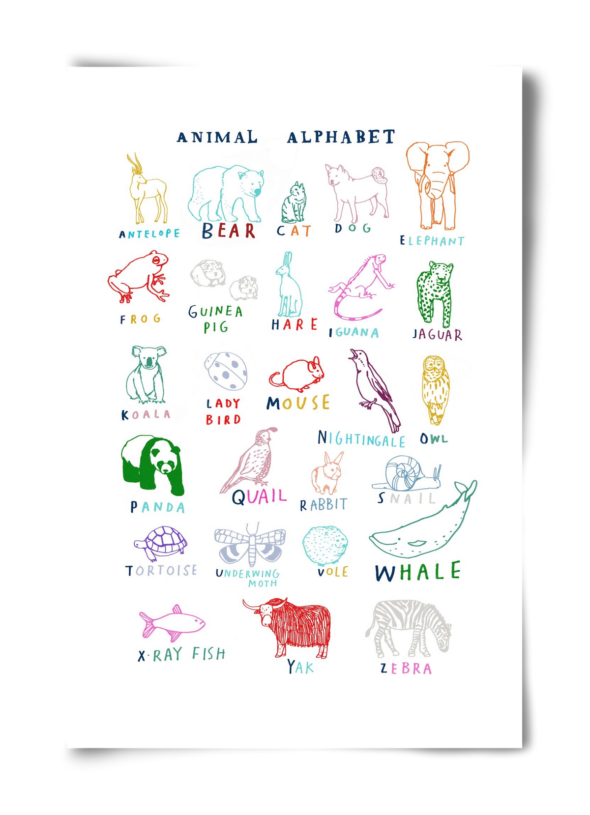 Animal Alphabeth, 40x60 cm, Keret nélkül