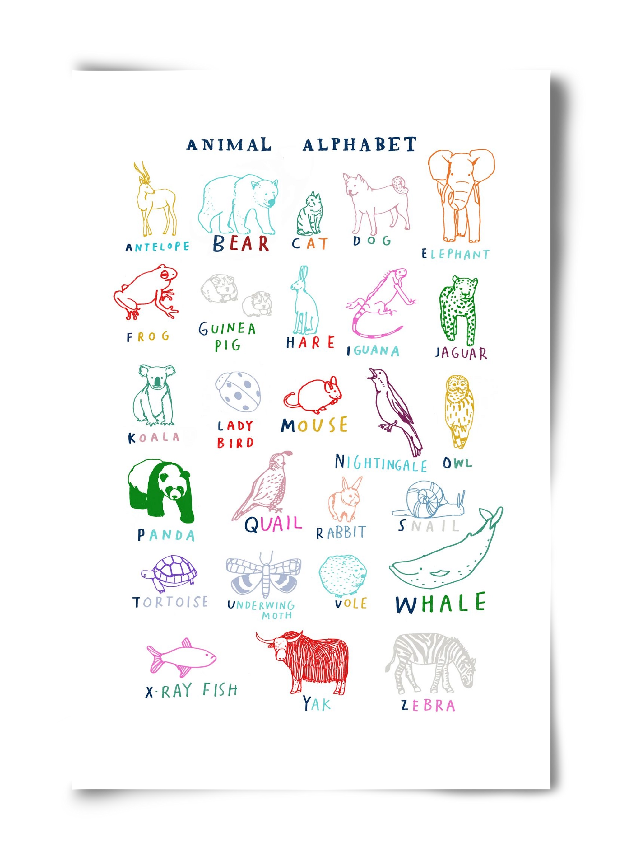 Animal Alphabeth, 40x60 cm, Keret nélkül