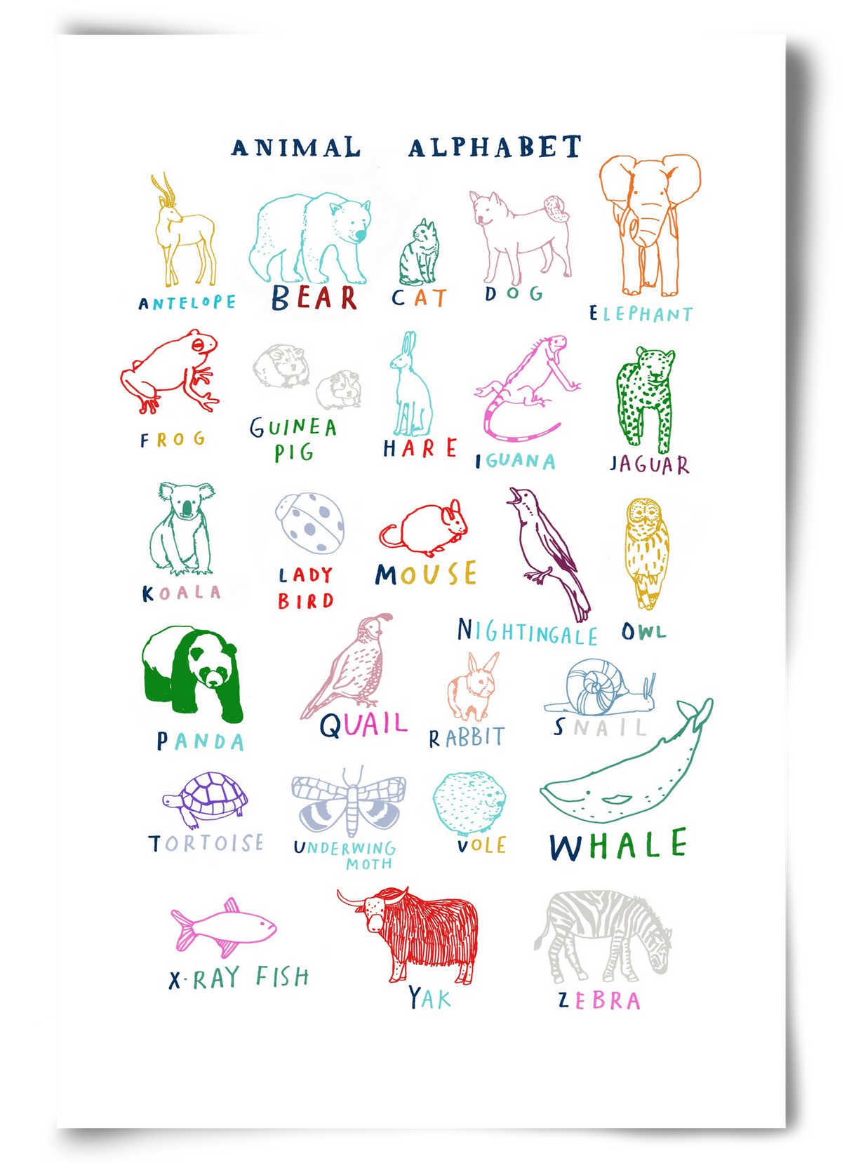 Animal Alphabeth, 60x90 cm, Keret nélkül