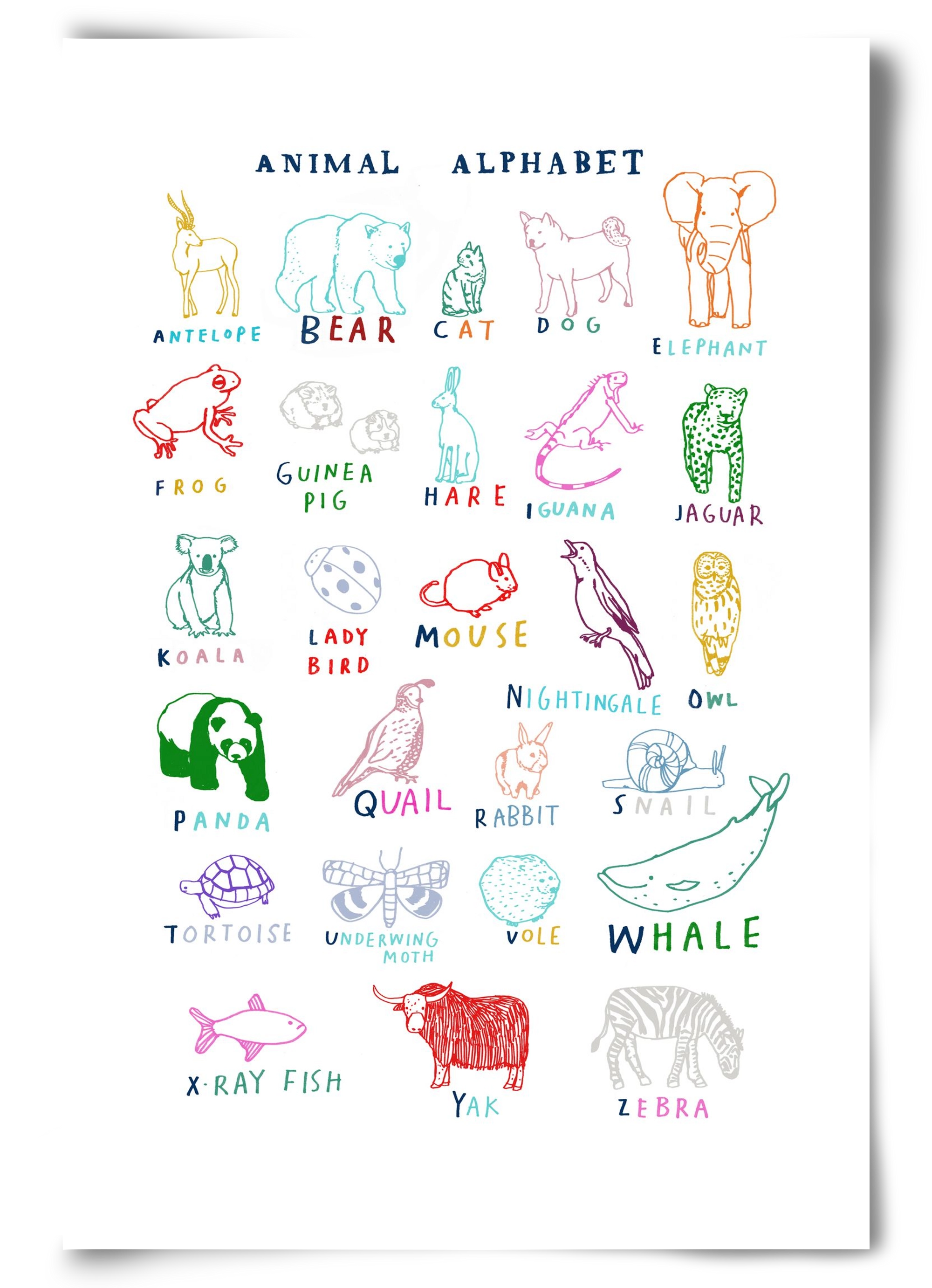 Animal Alphabeth, 60x90 cm, Keret nélkül