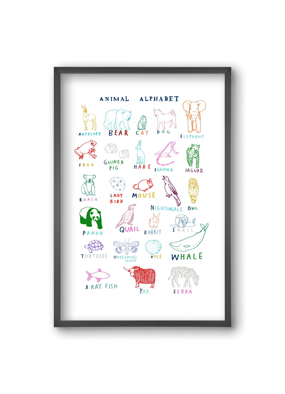 Animal Alphabeth, 20x30 cm (20x30 cm), Fekete keret