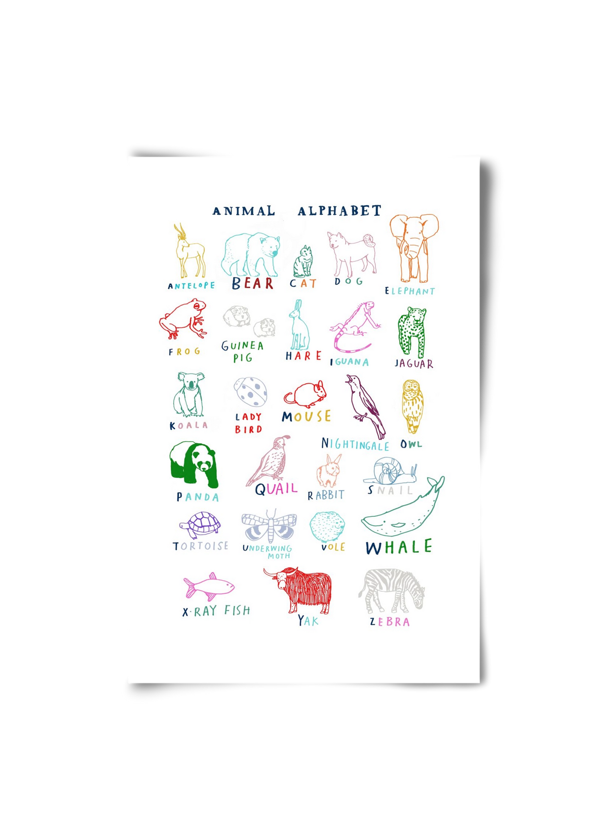 Animal Alphabeth, 20x30 cm, Keret nélkül
