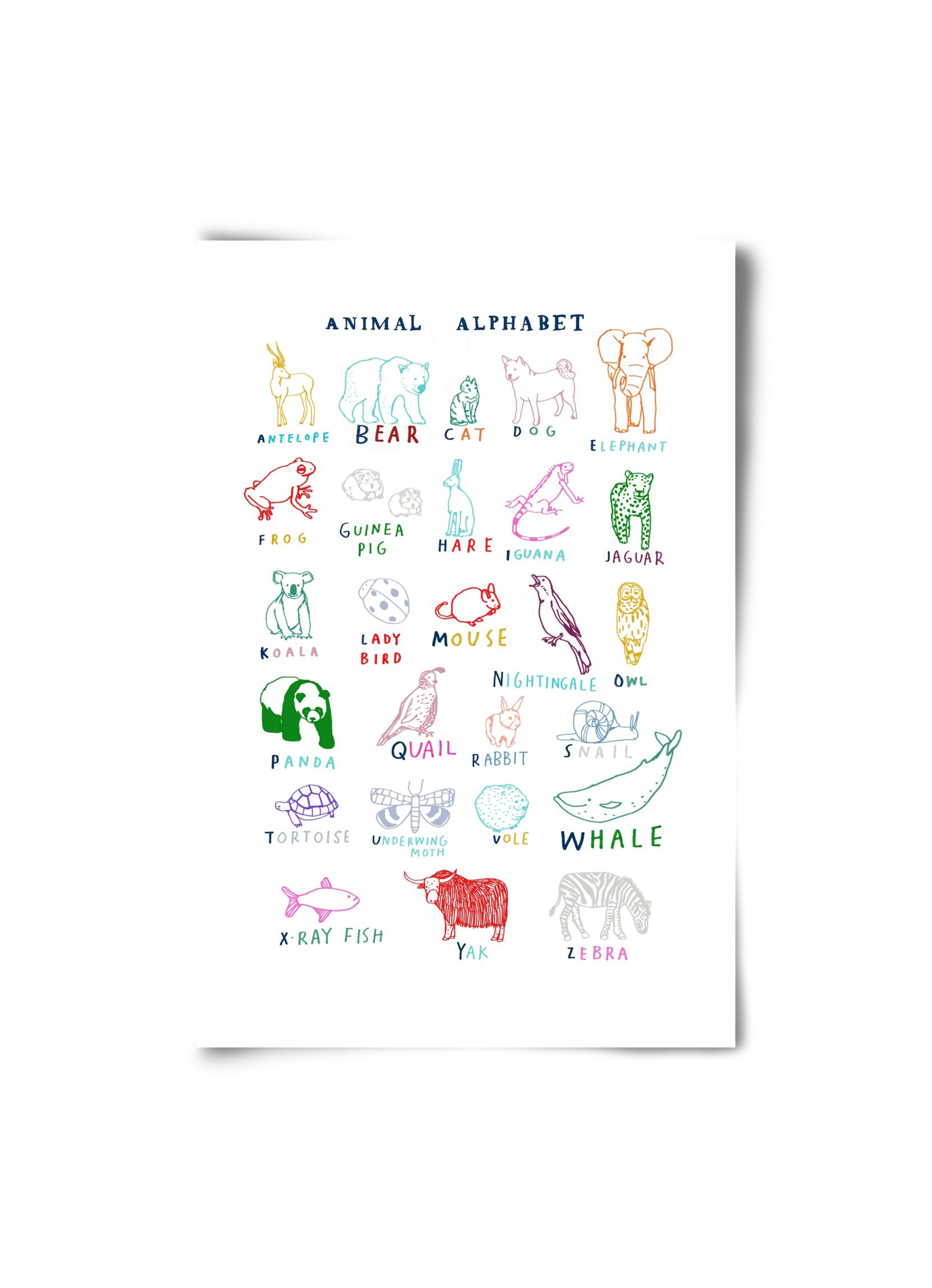 Animal Alphabeth, 20x30 cm, Keret nélkül