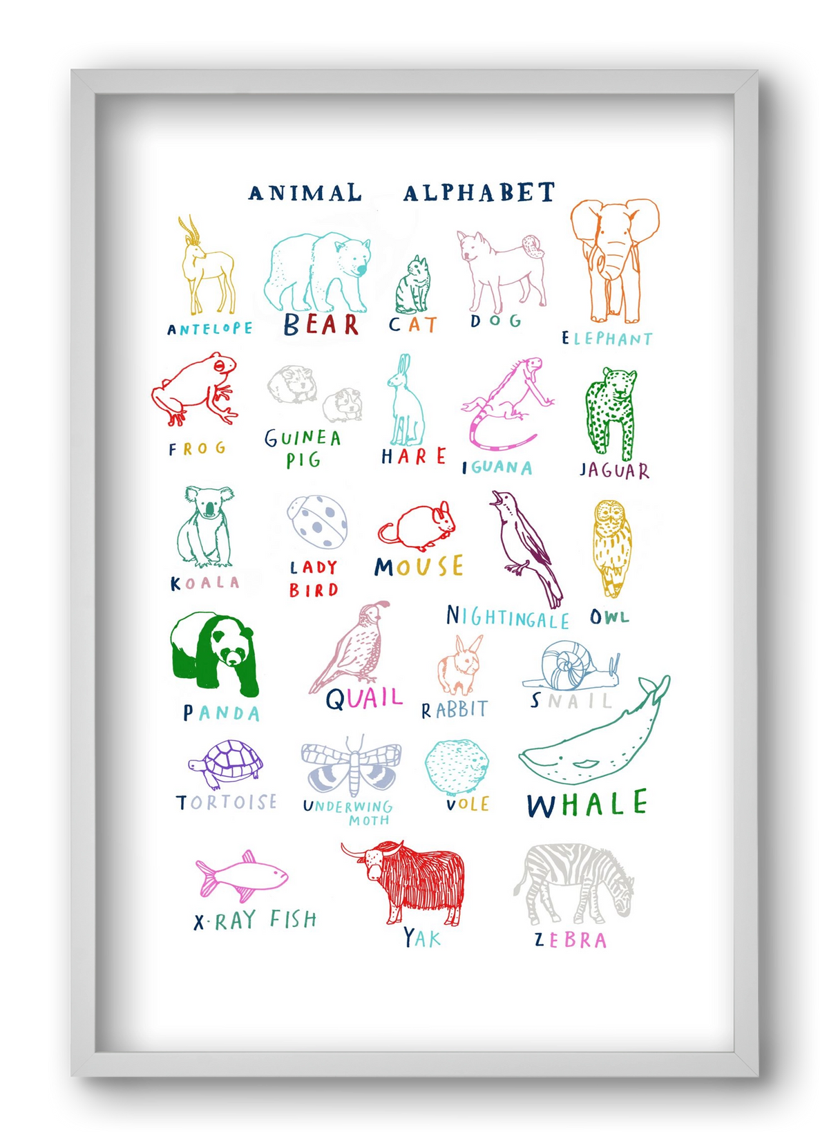 Animal Alphabeth, 40x60 cm (40x60 cm), Fehér keret