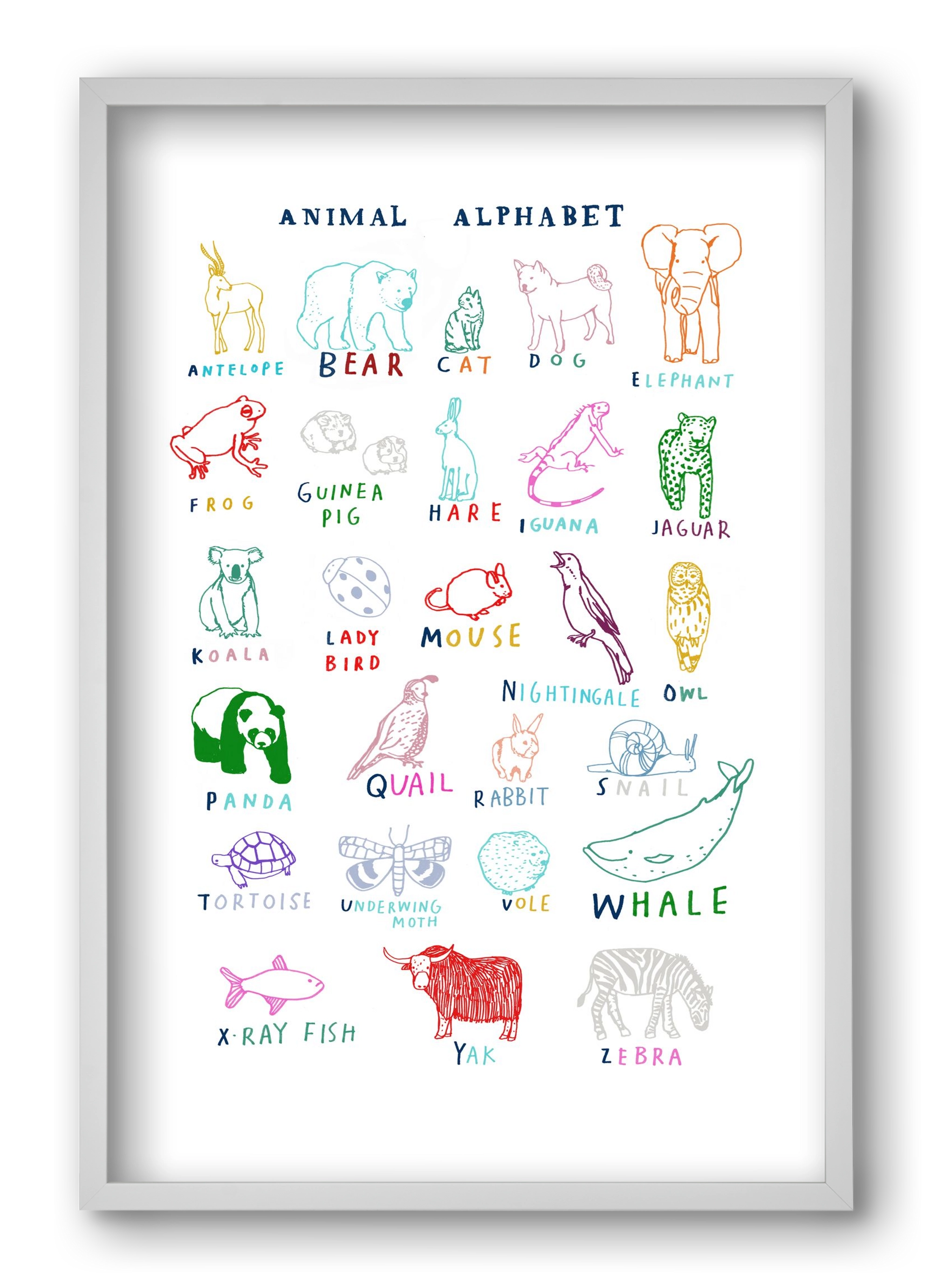 Animal Alphabeth, 40x60 cm (40x60 cm), Fehér keret