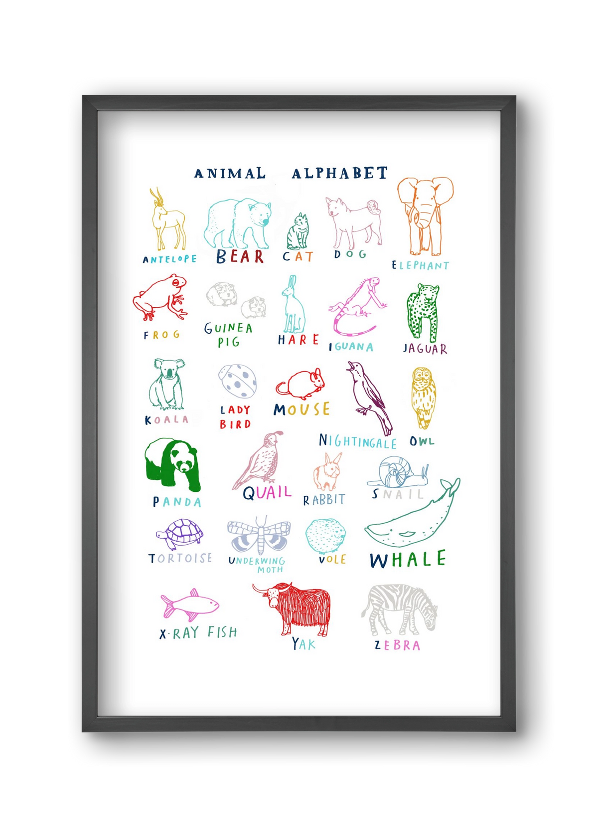 Animal Alphabeth, 30x45 cm (30x45 cm), Fekete keret