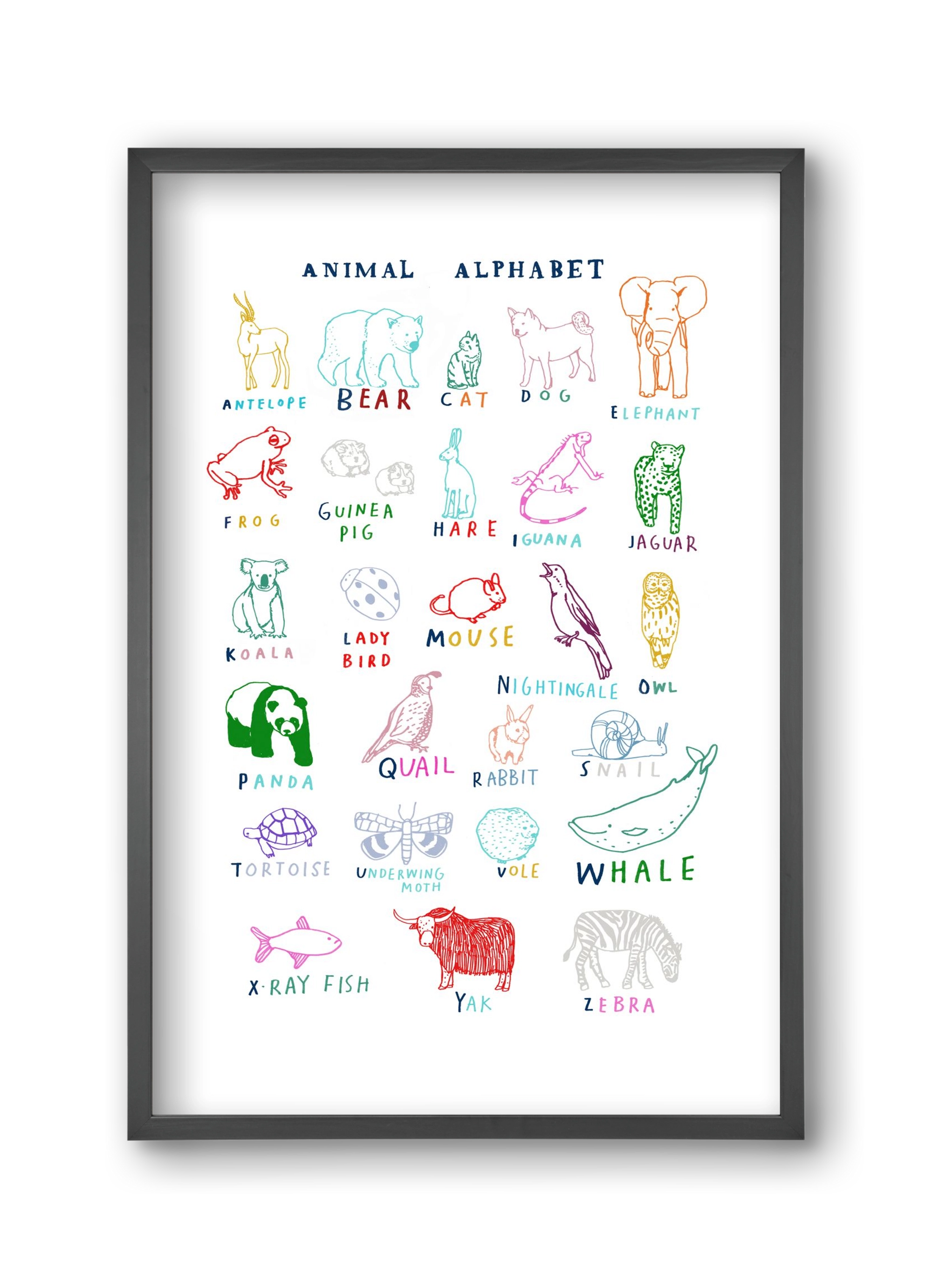 Animal Alphabeth, 30x45 cm (30x45 cm), Fekete keret