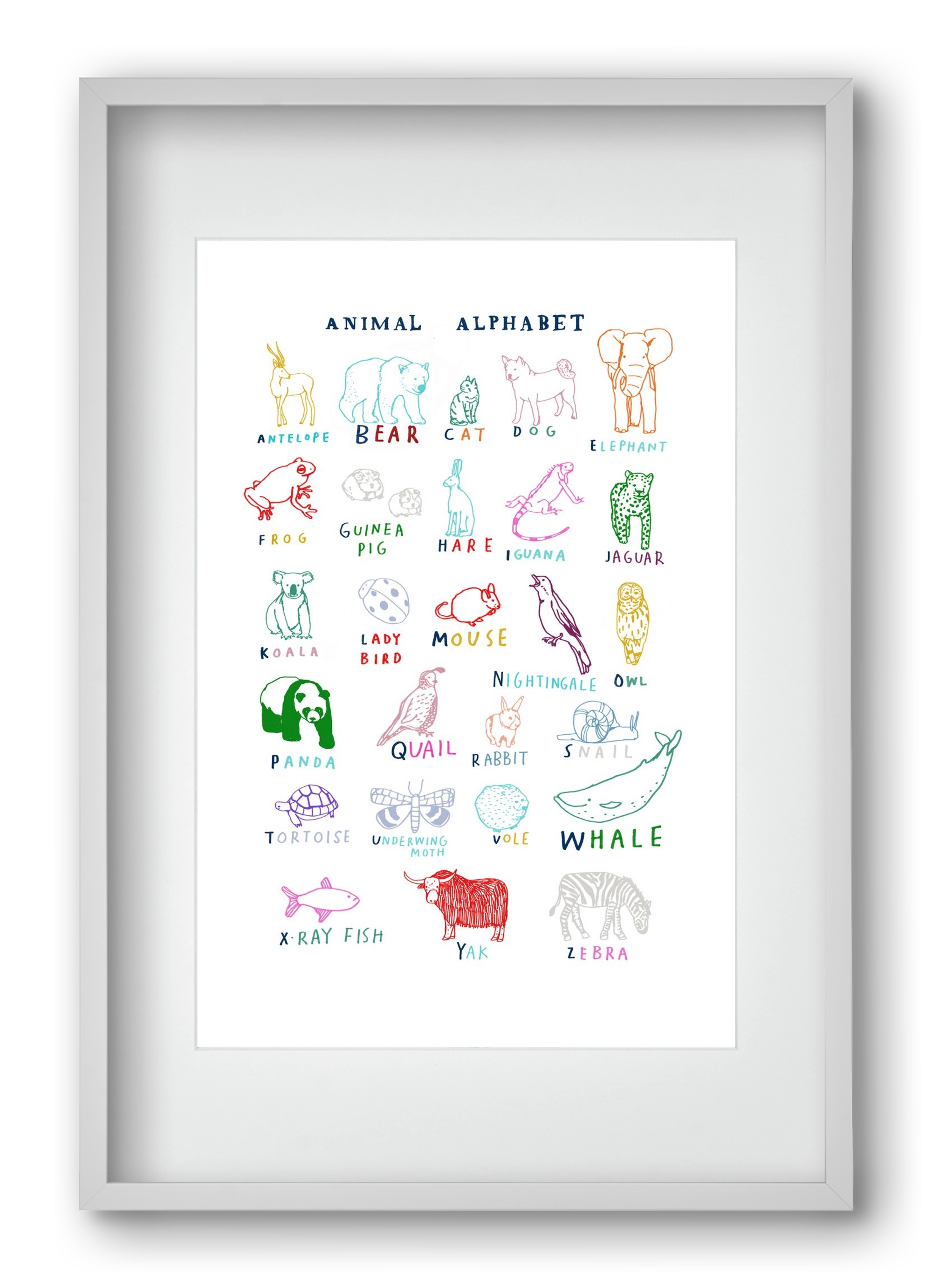 Animal Alphabeth, 40x60 cm (30x45 cm), Fehér keret, paszpartuval