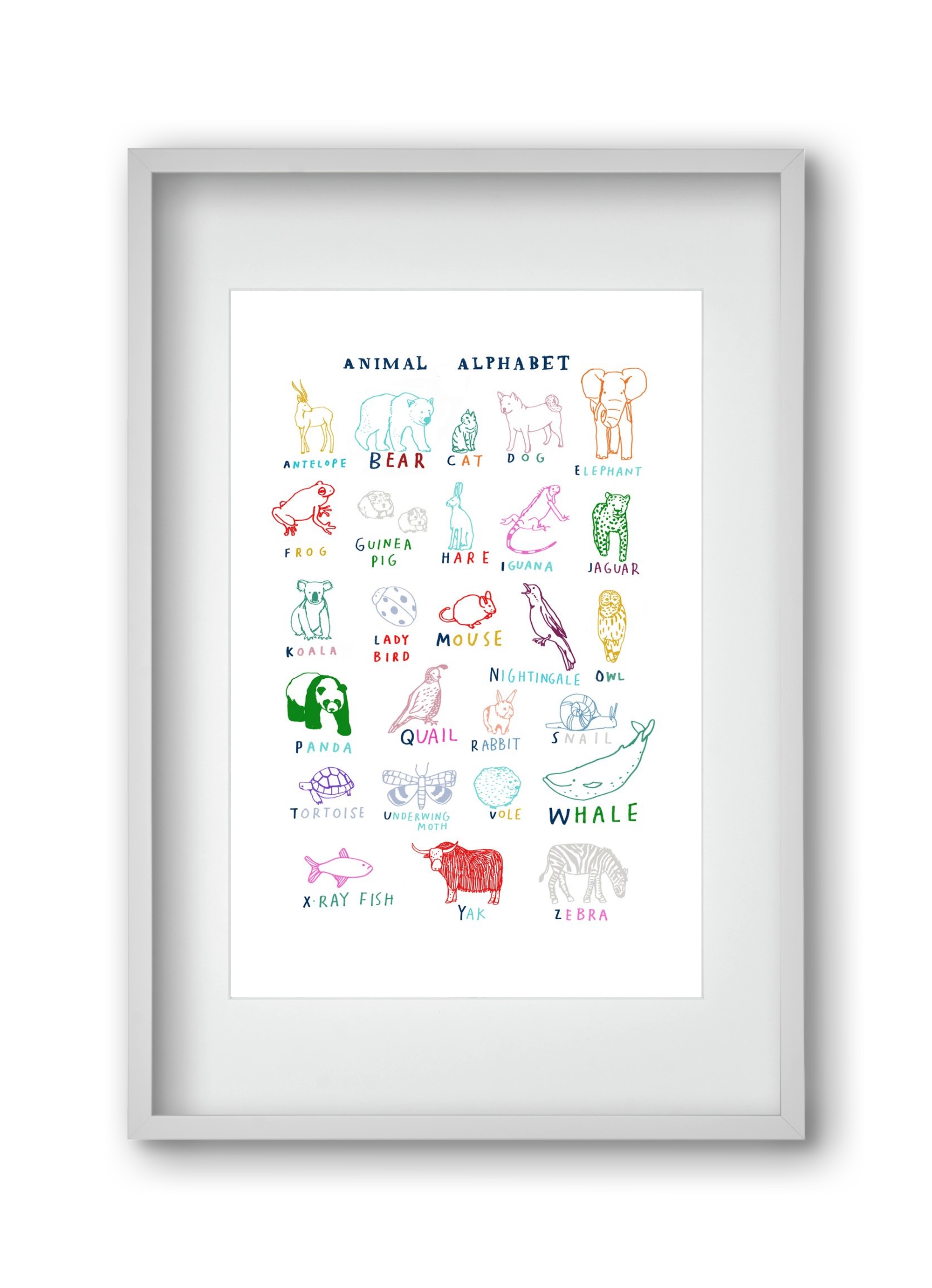 Animal Alphabeth, 30x45 cm (20x30 cm), Fehér keret, paszpartuval
