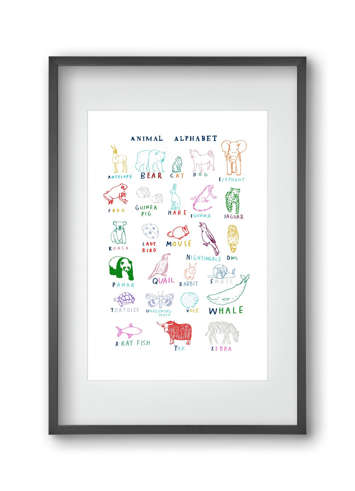 Animal Alphabeth, 30x45 cm (20x30 cm), Fekete keret, paszpartuval