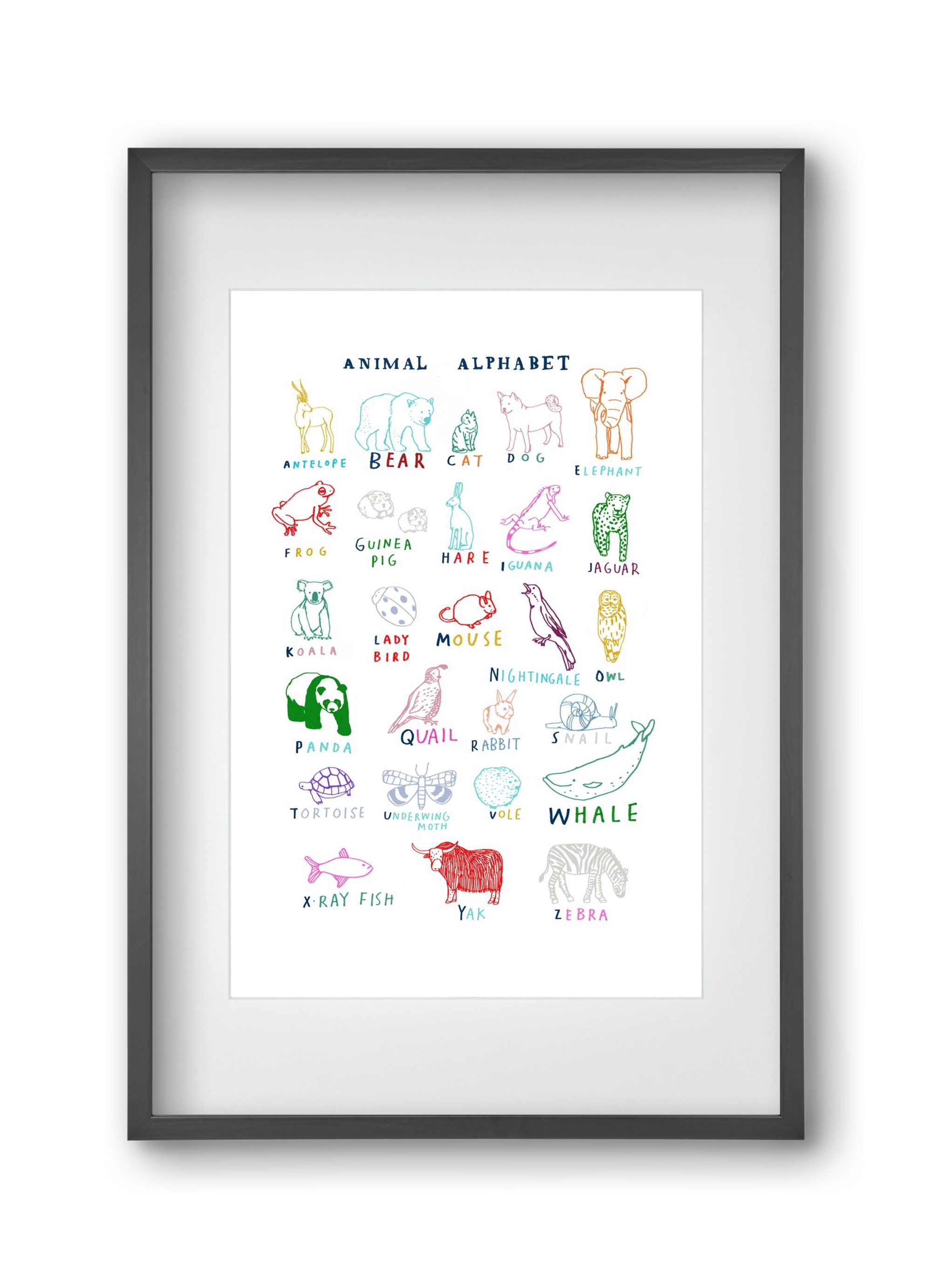 Animal Alphabeth, 30x45 cm (20x30 cm), Fekete keret, paszpartuval