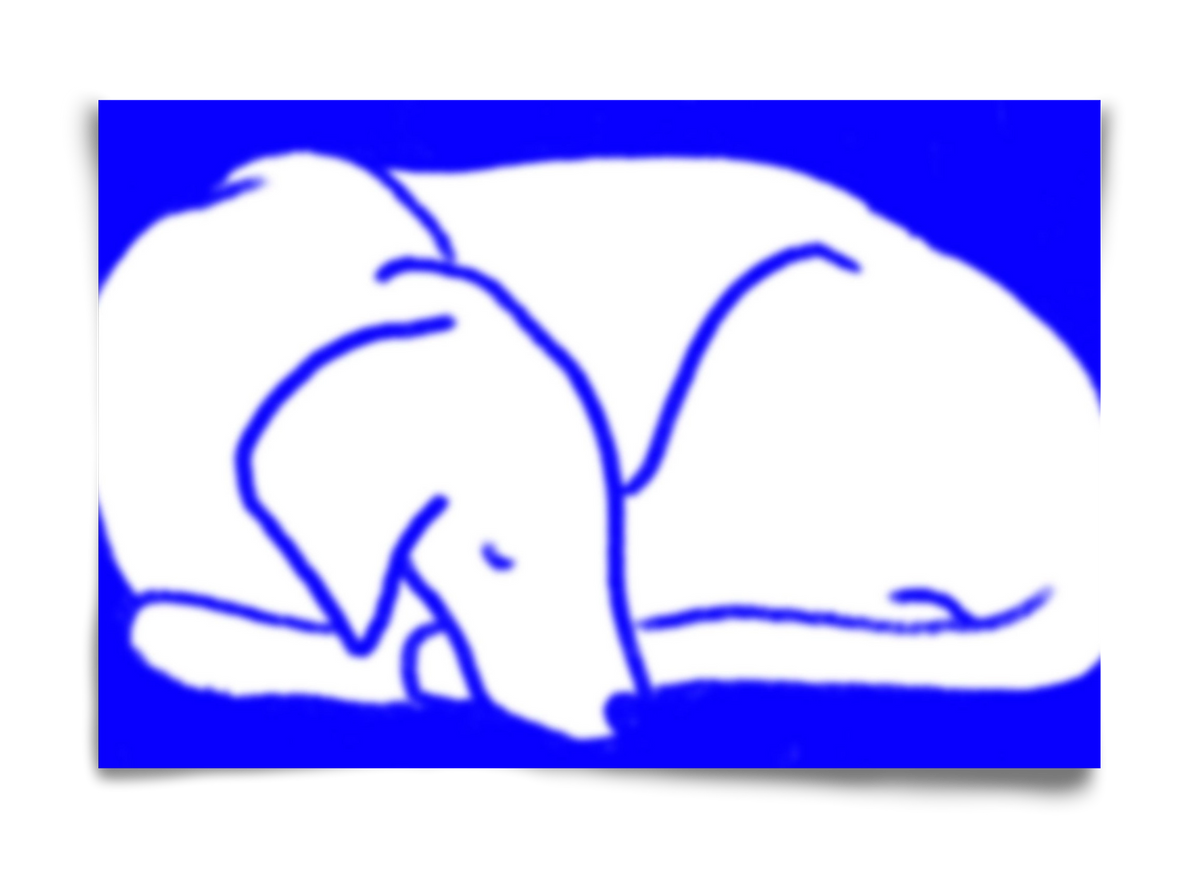 Good Night Blurry Dog, 60x40 cm, Keret nélkül