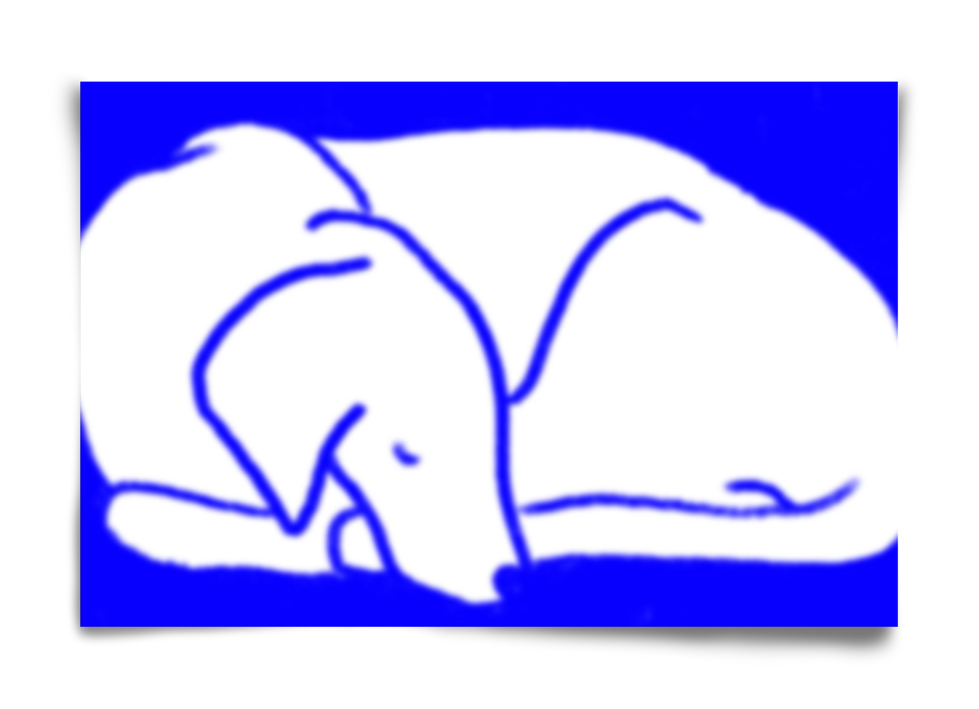 Good Night Blurry Dog, 60x40 cm, Keret nélkül